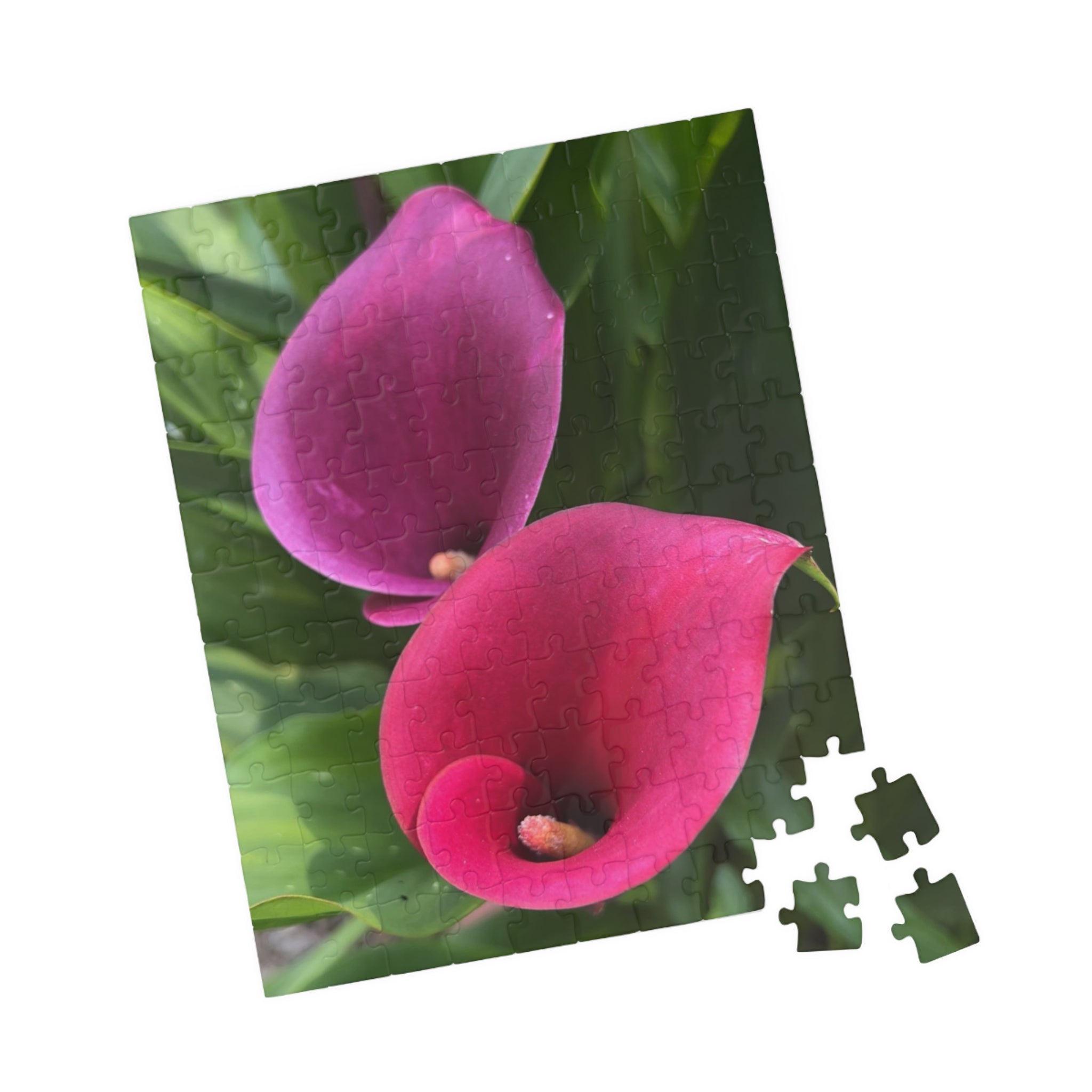 Two Pink Calla Lilies Jigsaw Puzzle