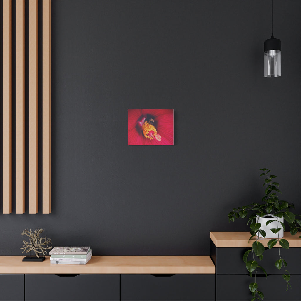 Sleeping Bee Canvas Print