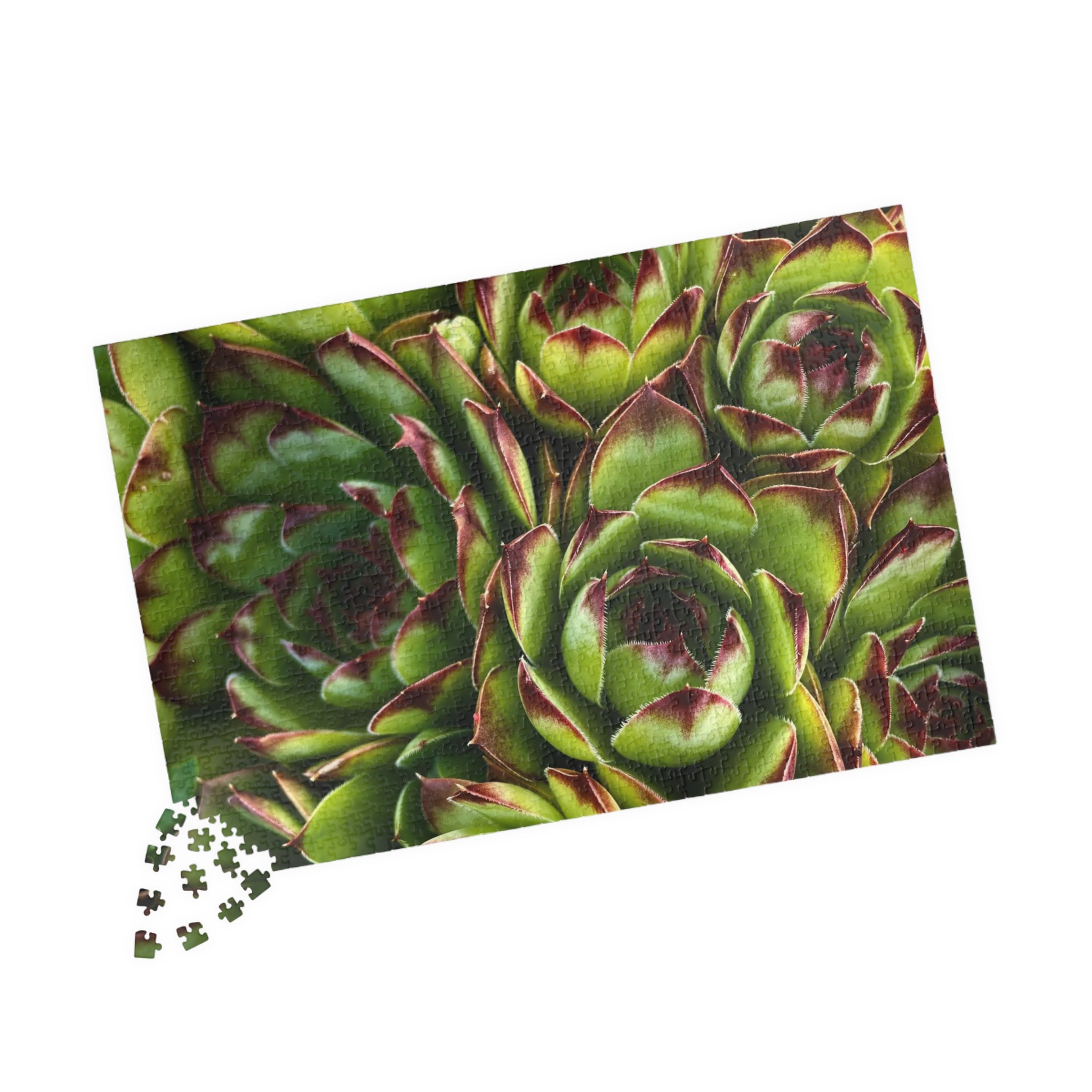 Succulent Garden Jigsaw Puzzle