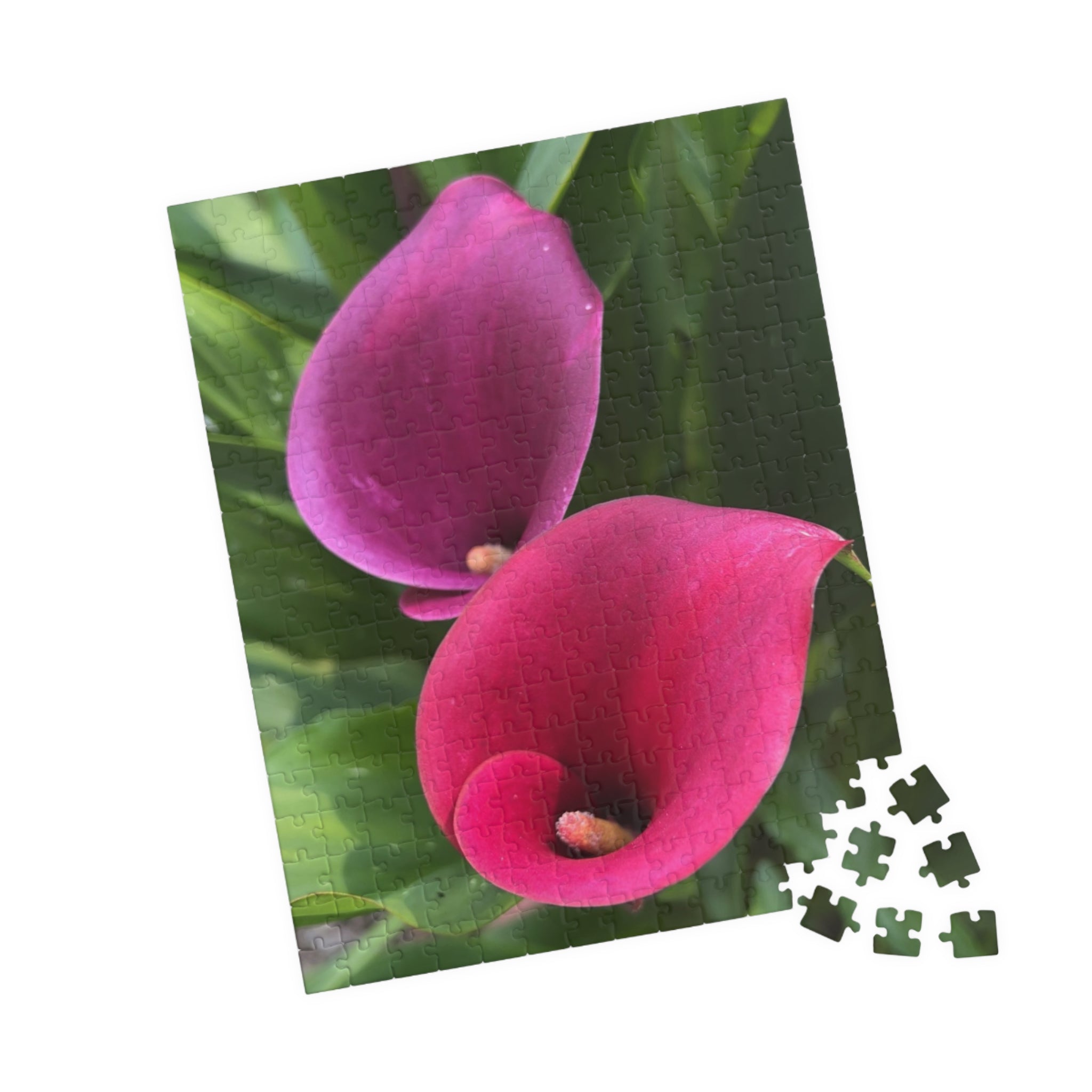 Two Pink Calla Lilies Jigsaw Puzzle
