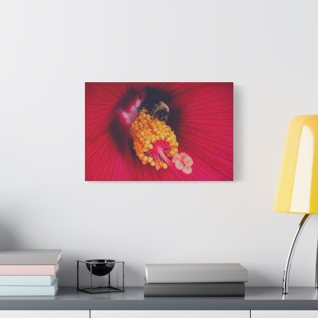 Sleeping Bee Canvas Print