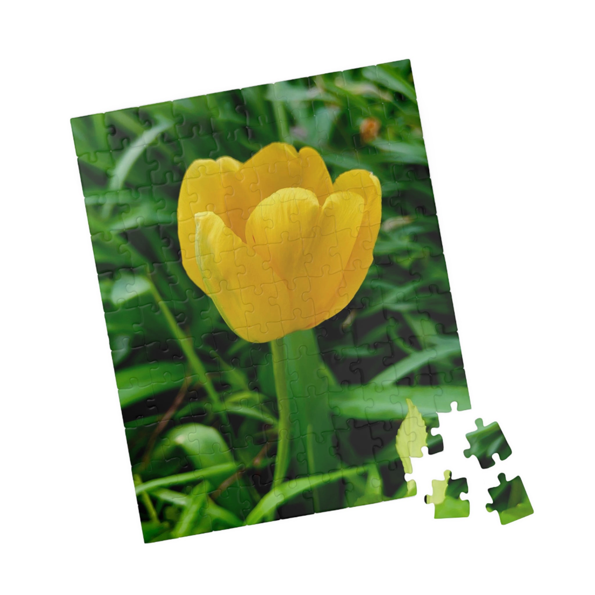 Yellow Tulip Jigsaw Puzzle