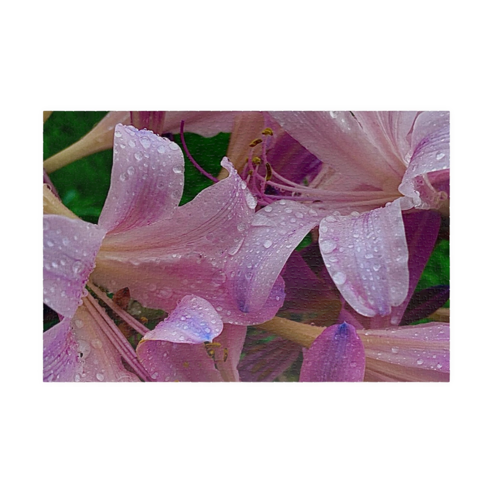 Rainy Pink Lilies Jigsaw Puzzle