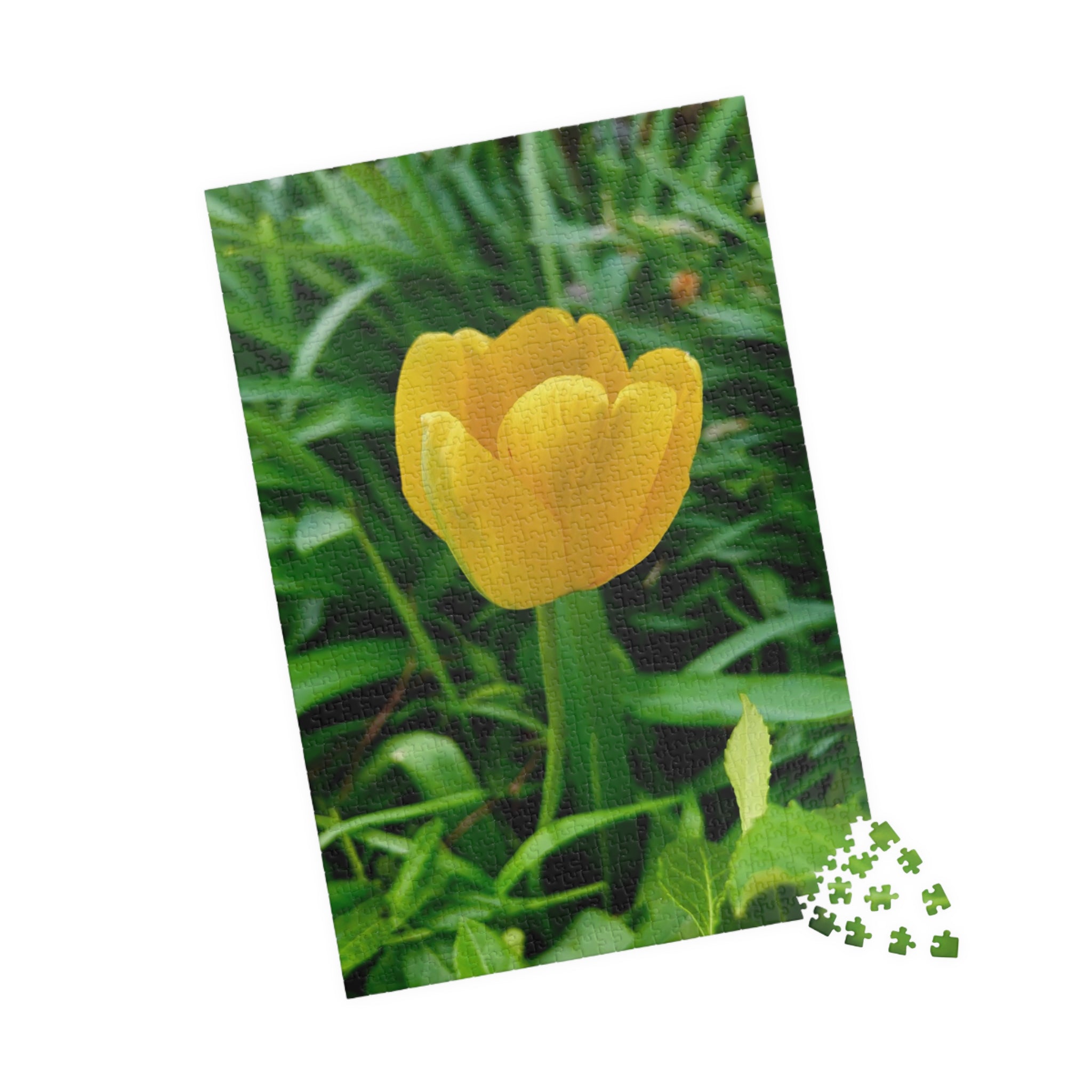 Yellow Tulip Jigsaw Puzzle