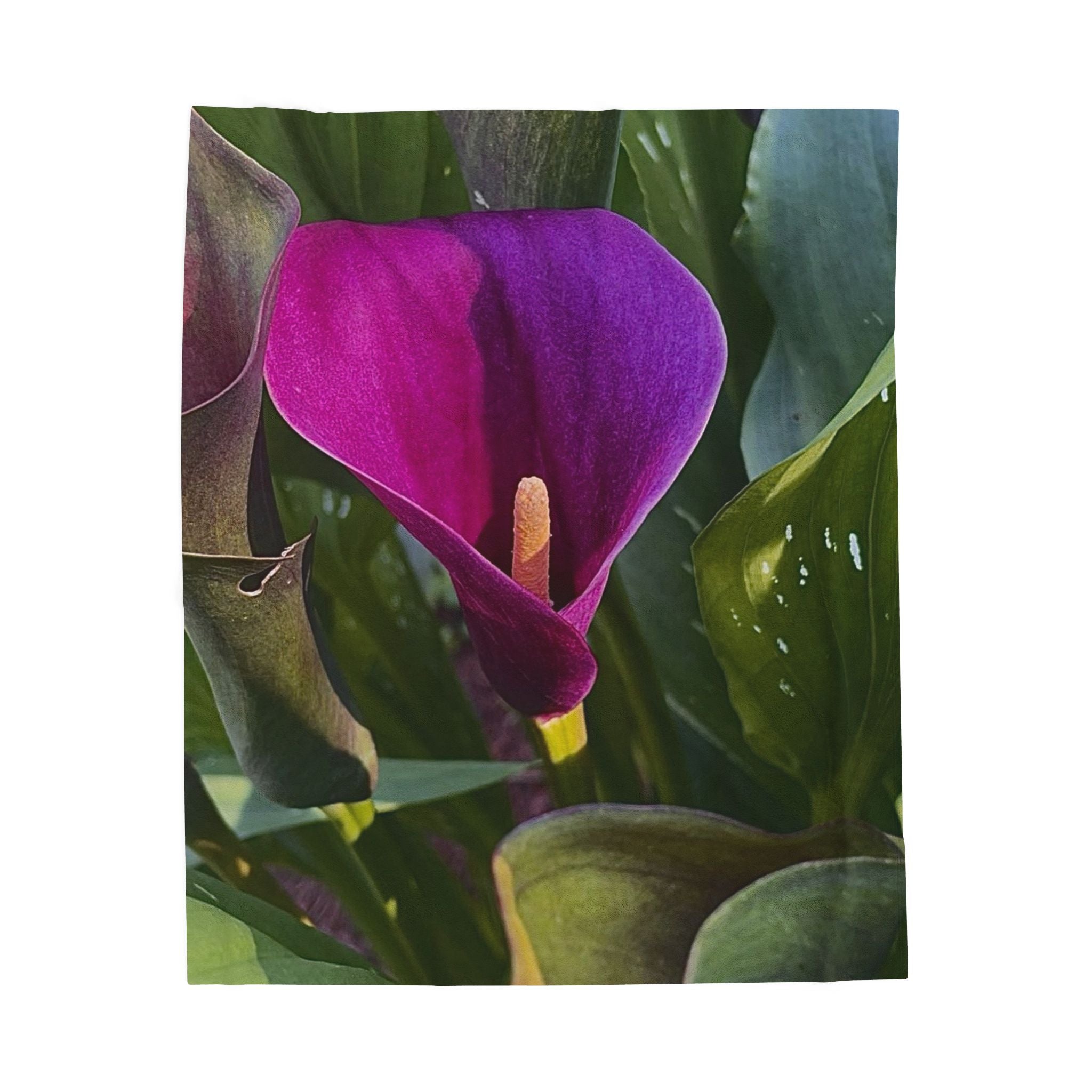 Purple Calla Lily Throw Blanket