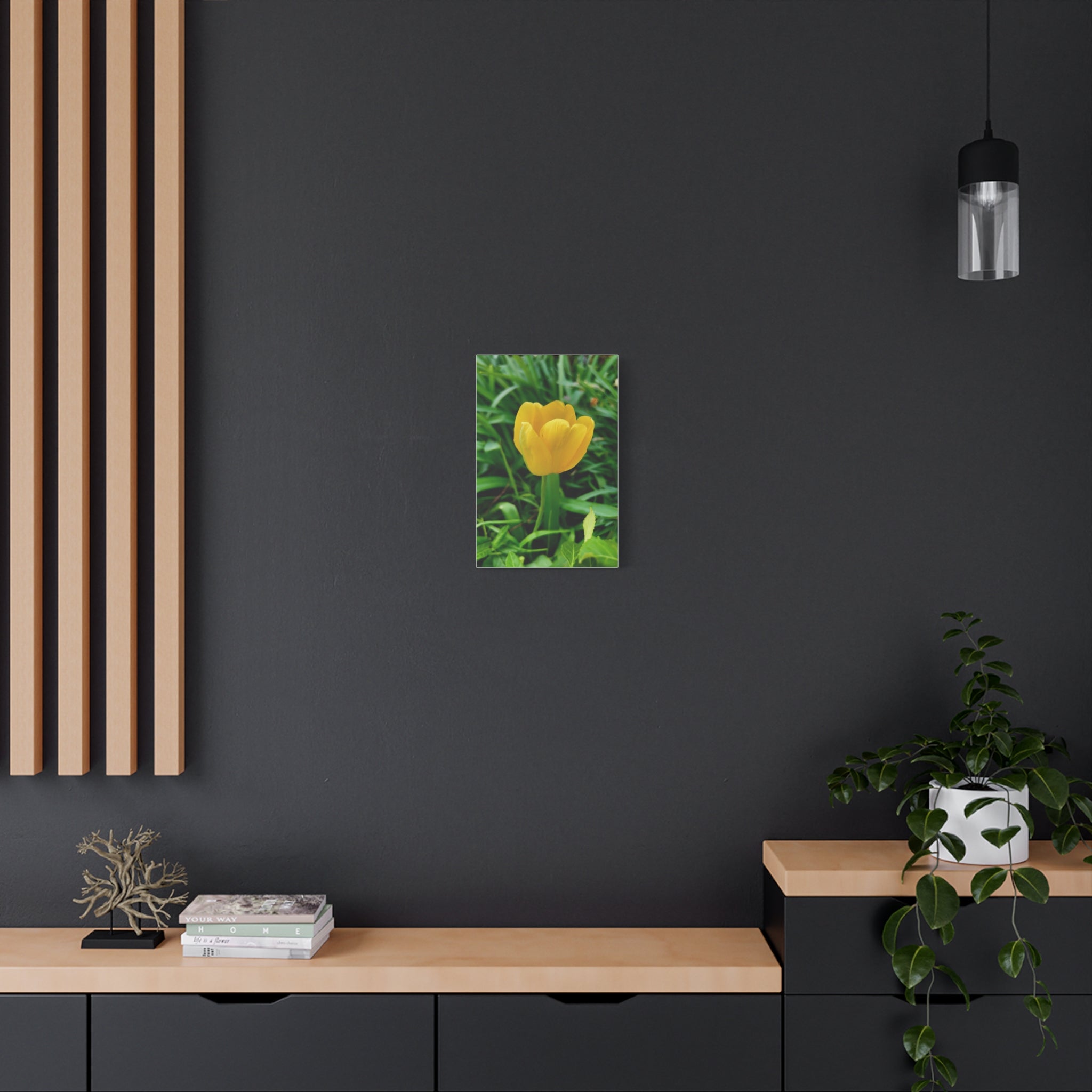 Yellow Tulip Canvas Print