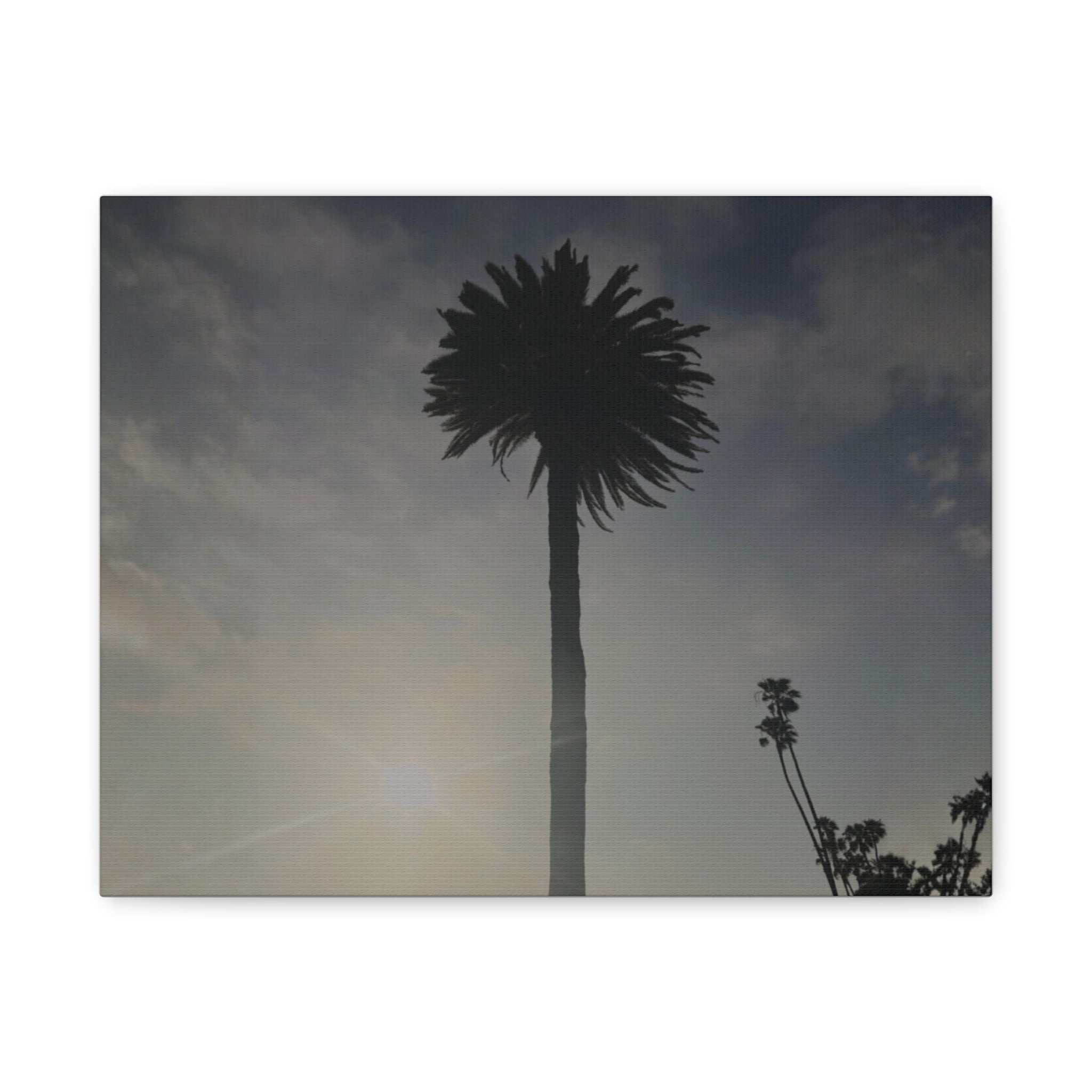 Palm Tree Canvas Print
