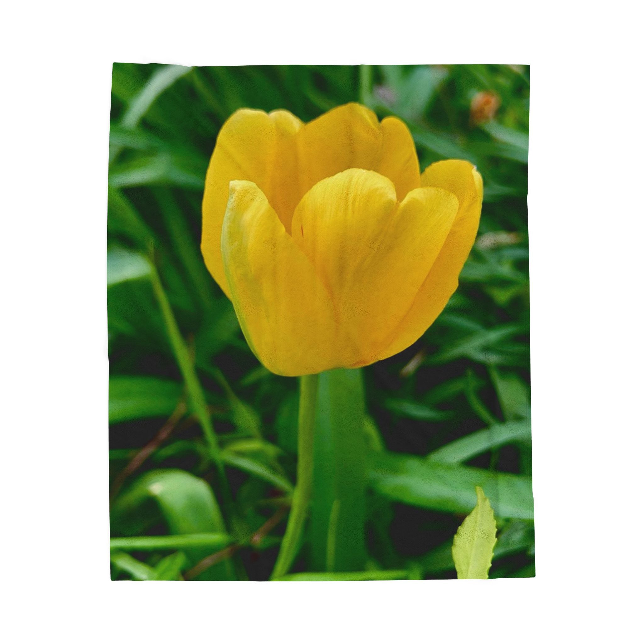 Yellow Tulip Plush Blanket