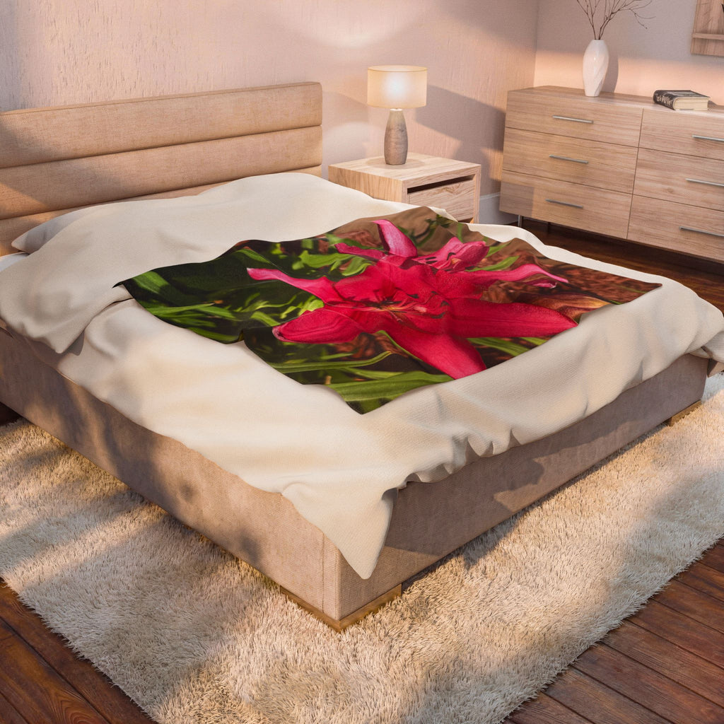 Pink Asiatic Lily Throw Blanket