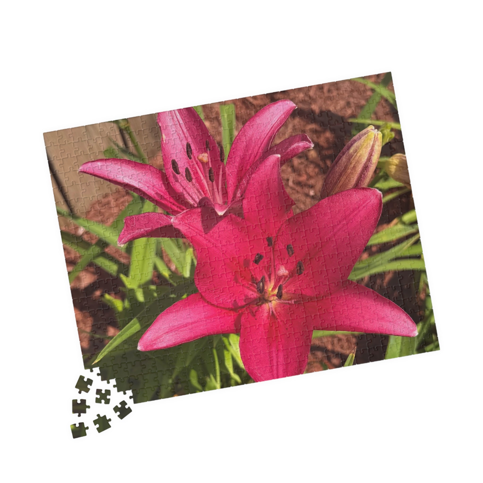 Pink Asiatic Lily Jigsaw Puzzle