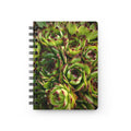 Succulent Garden Spiral Notebook