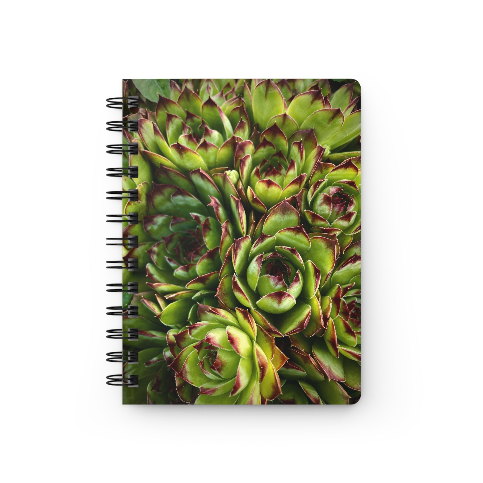 Succulent Garden Spiral Notebook
