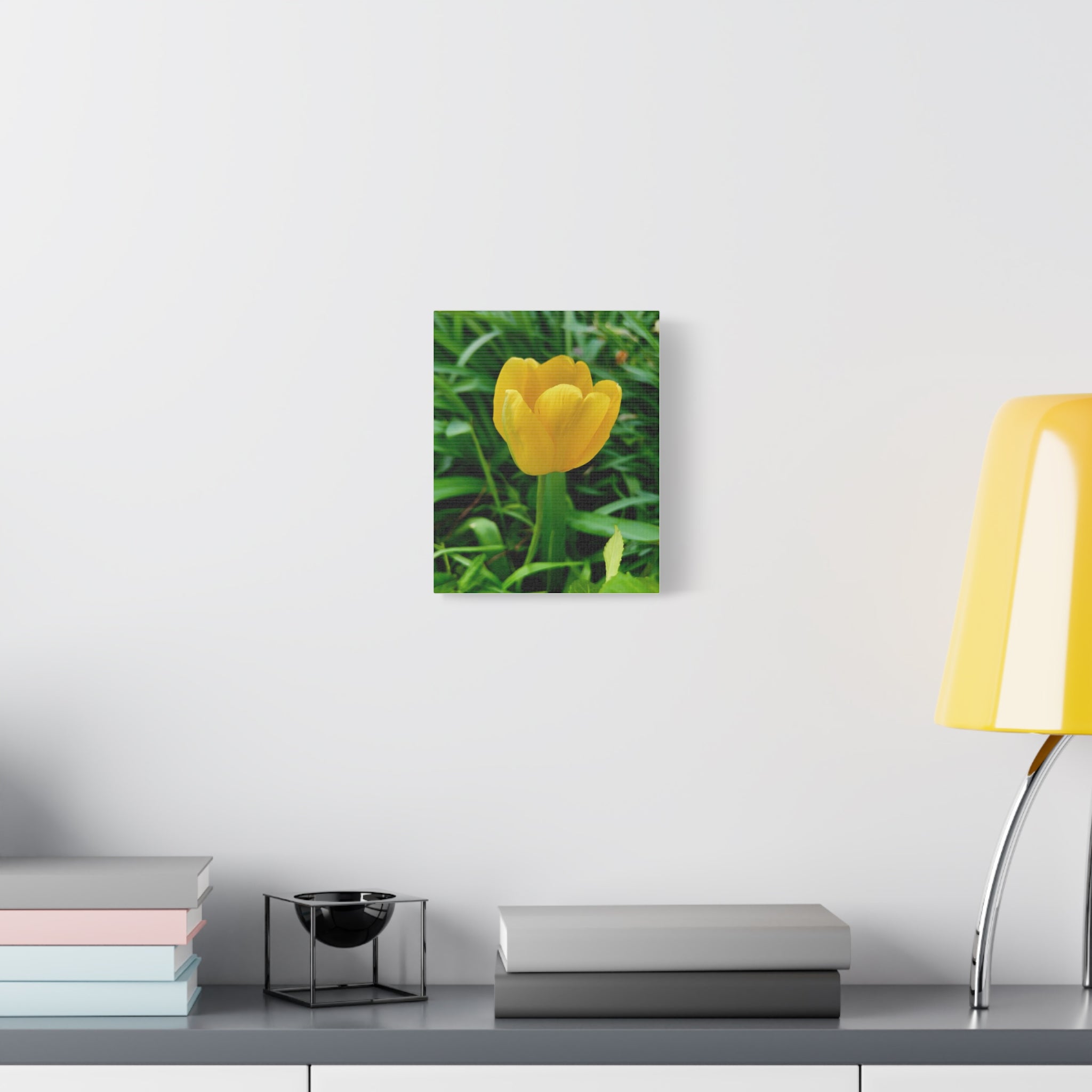 Yellow Tulip Canvas Print
