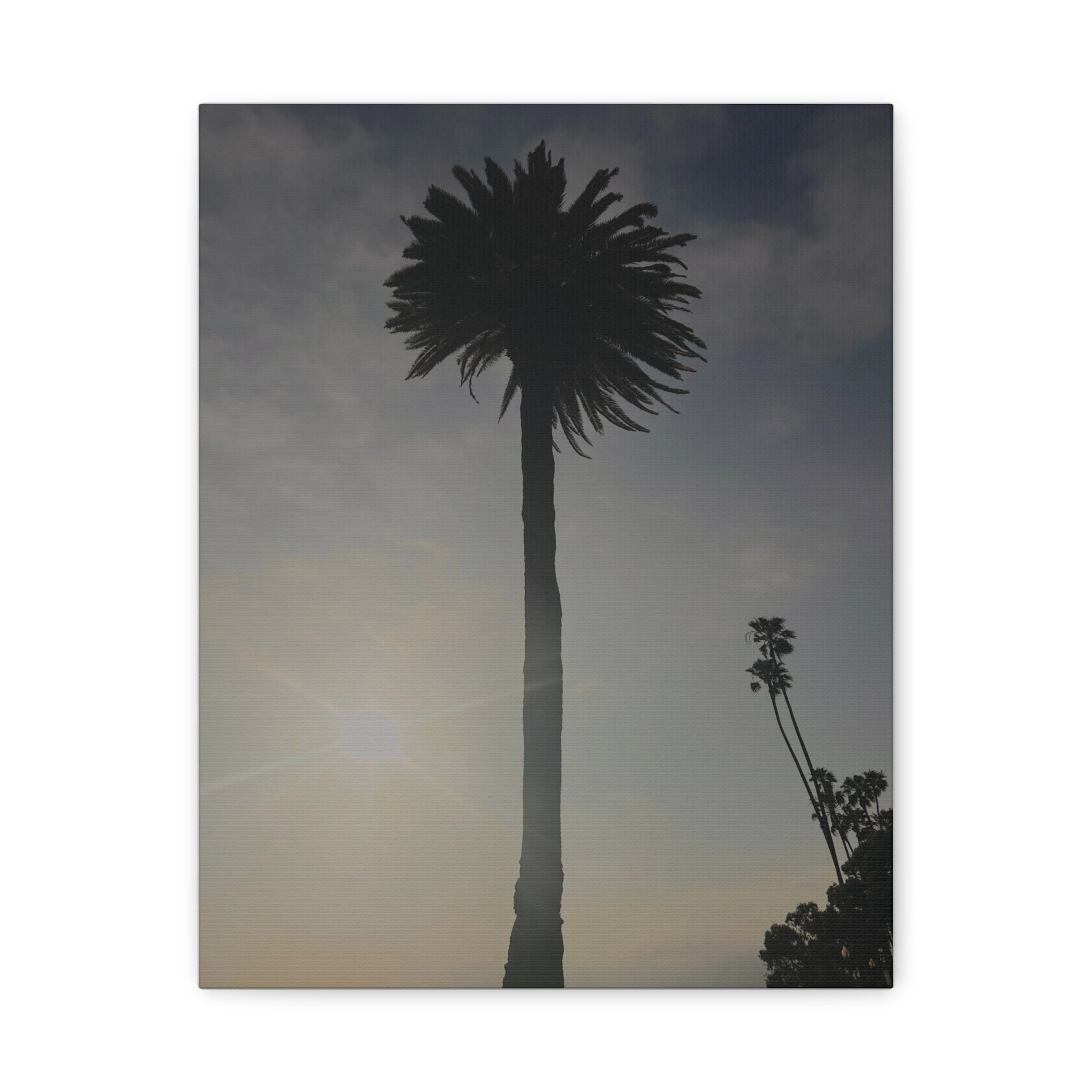 Palm Tree Canvas Print