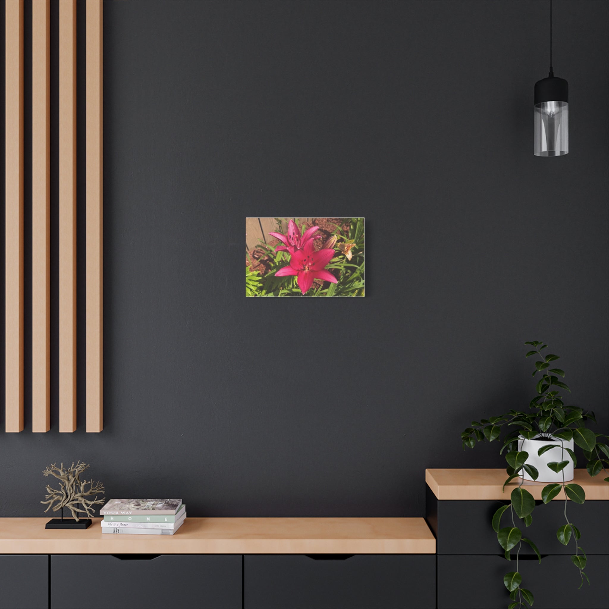 Pink Asiatic Lily Canvas Print