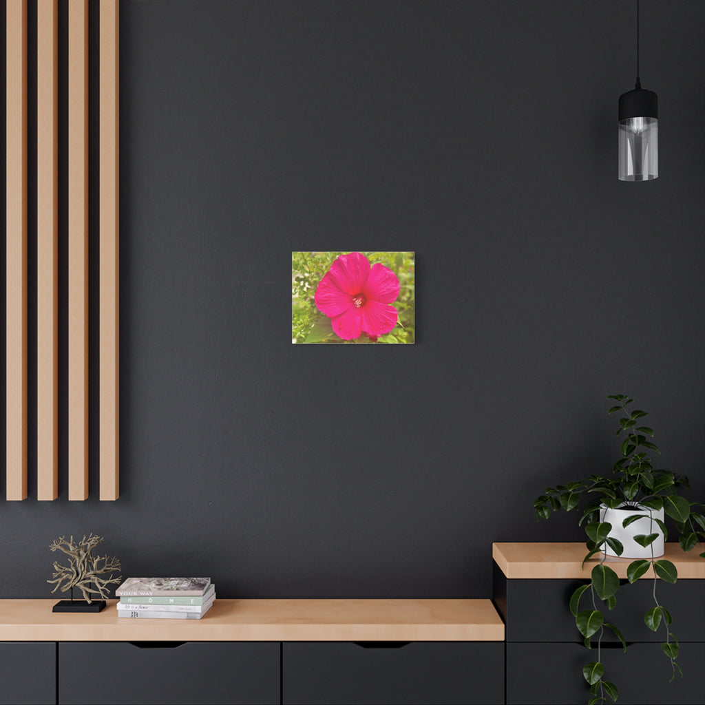 Hot Pink Hibiscus Canvas Print