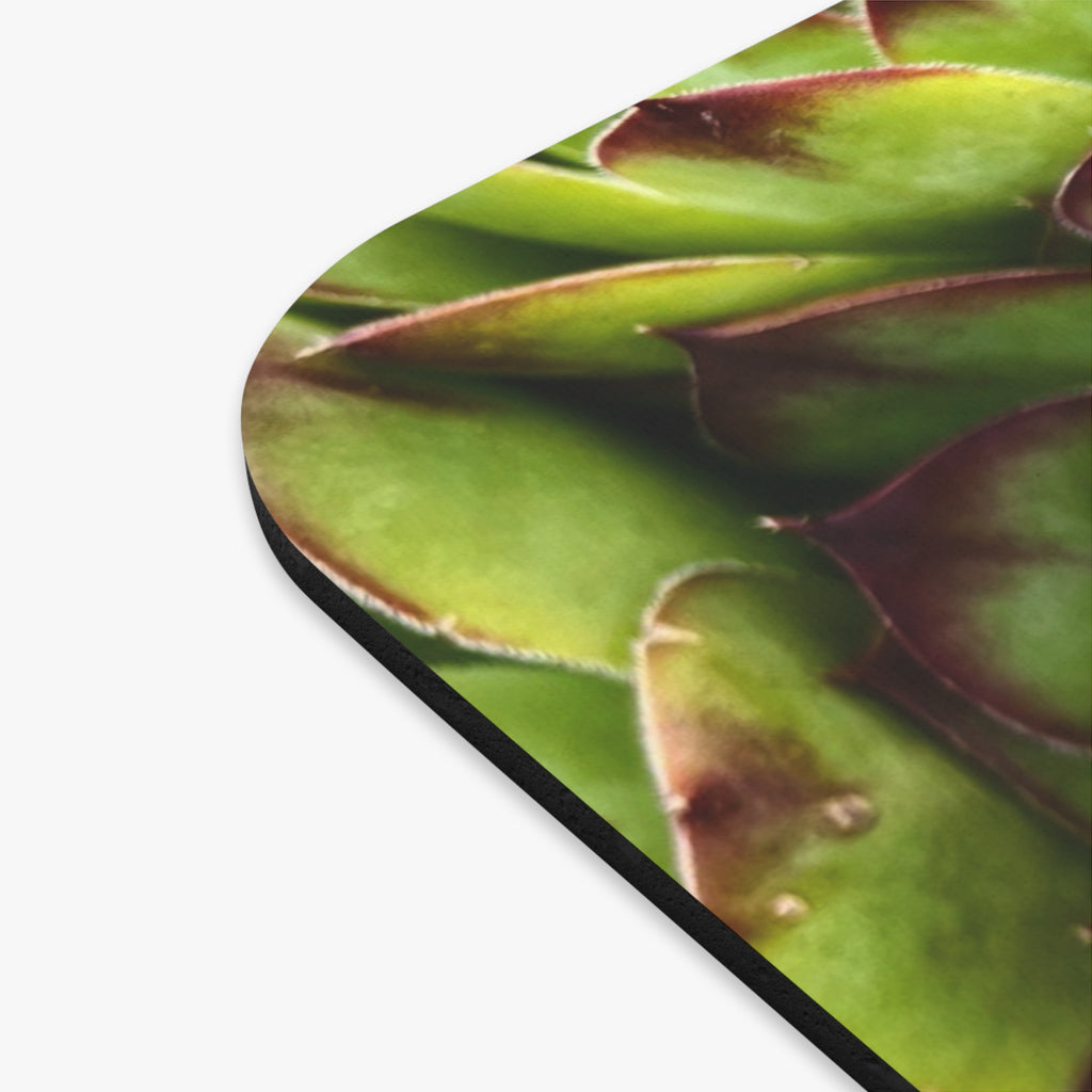 Succulent Garden Mouse Pad