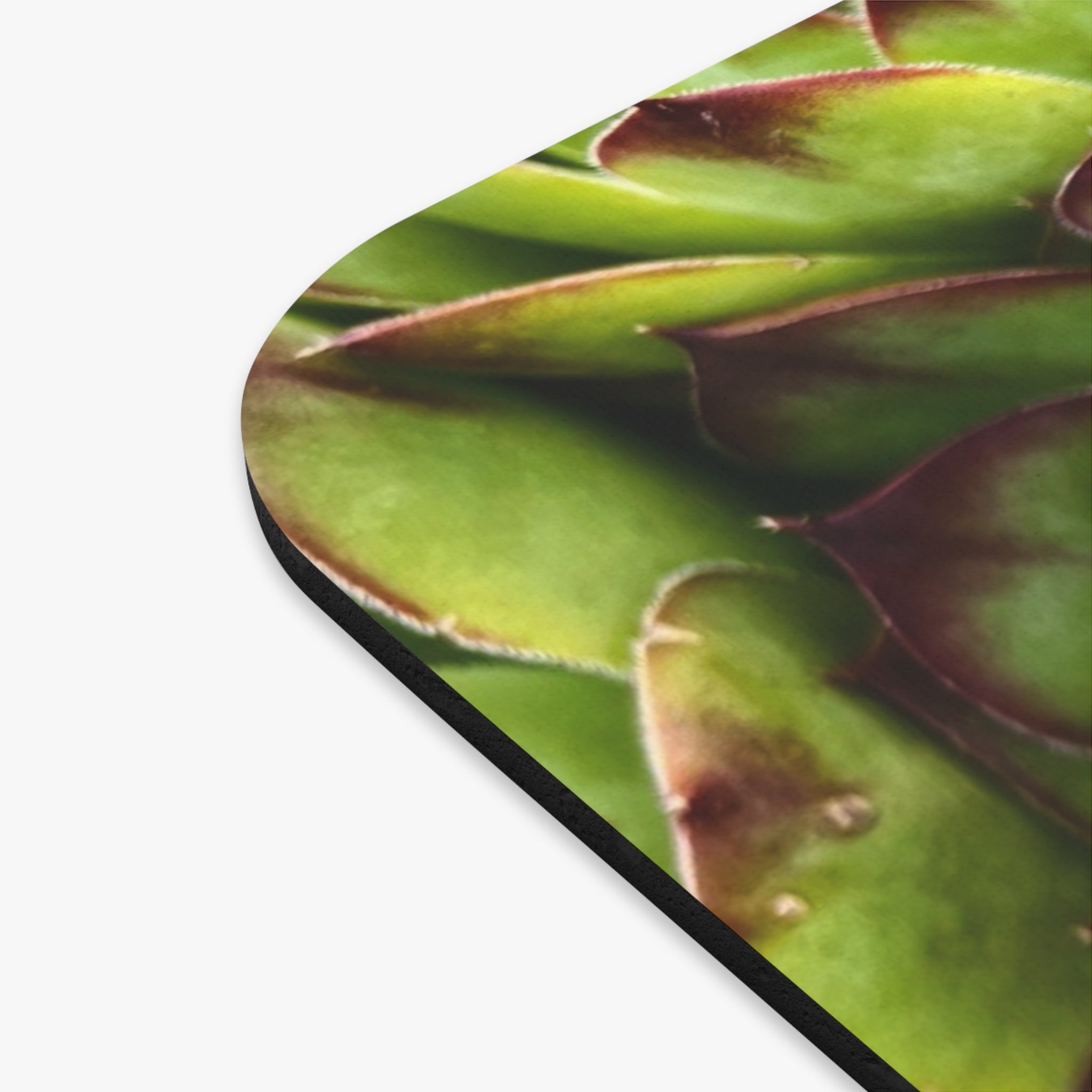 Succulent Garden Mouse Pad