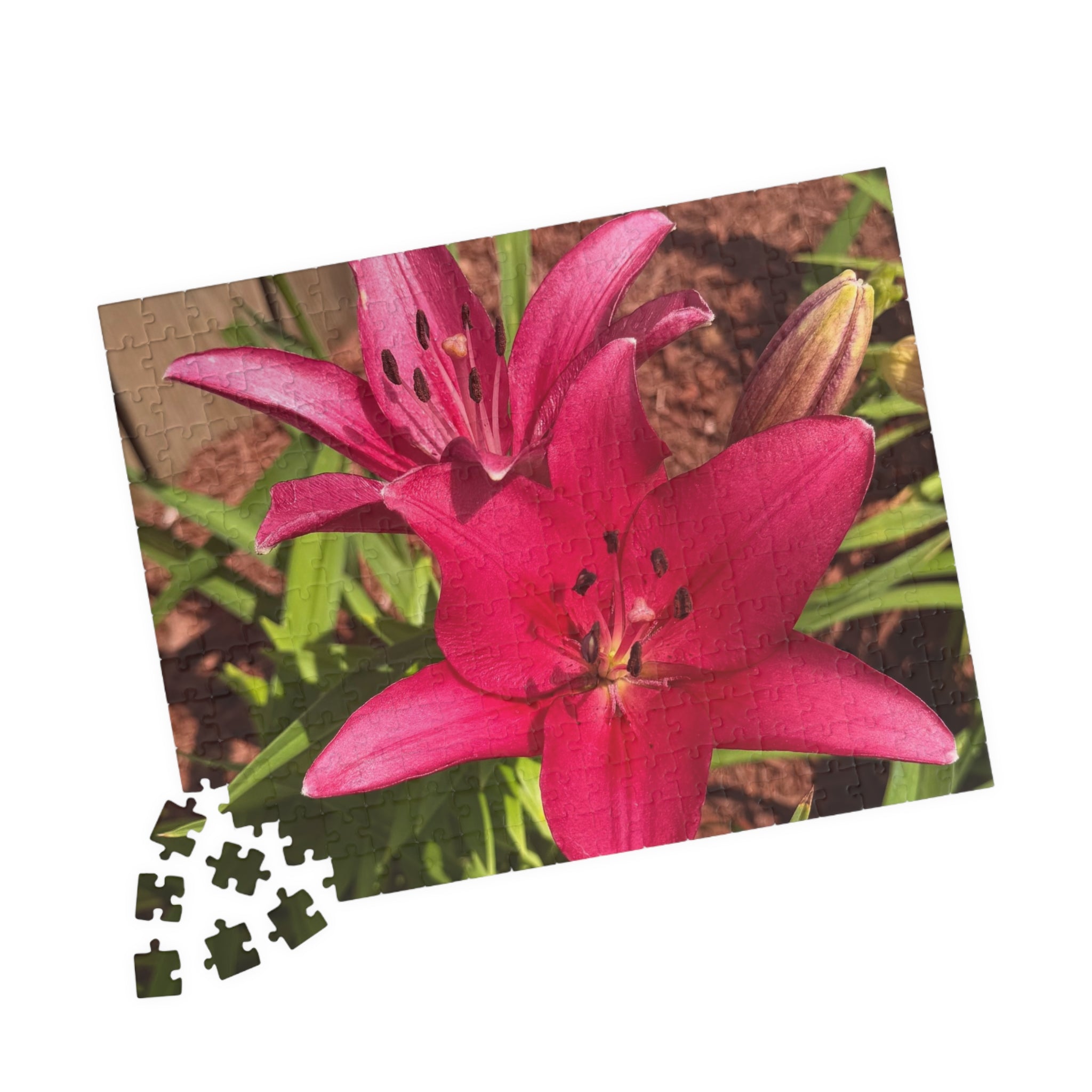 Pink Asiatic Lily Jigsaw Puzzle