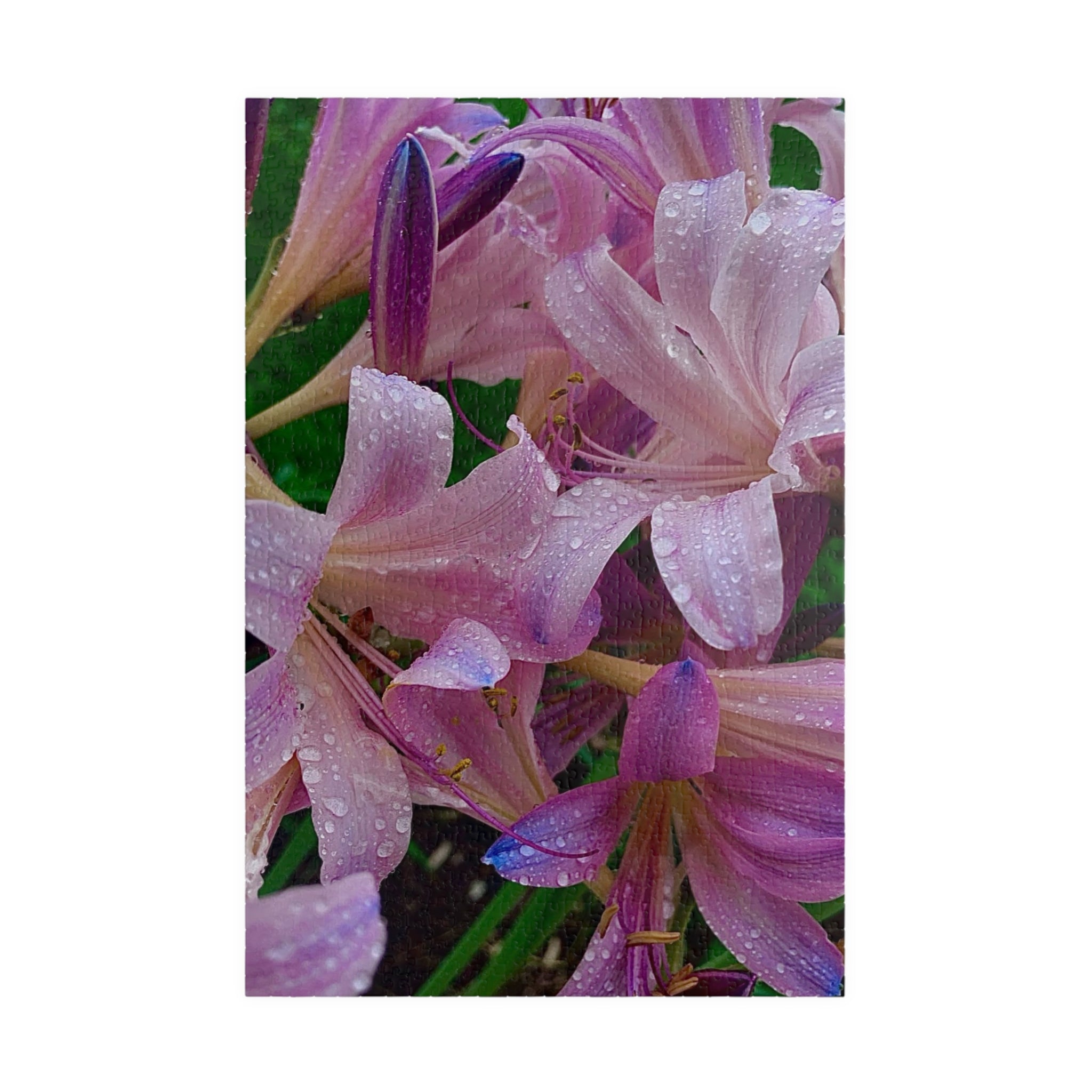 Rainy Pink Lilies Jigsaw Puzzle