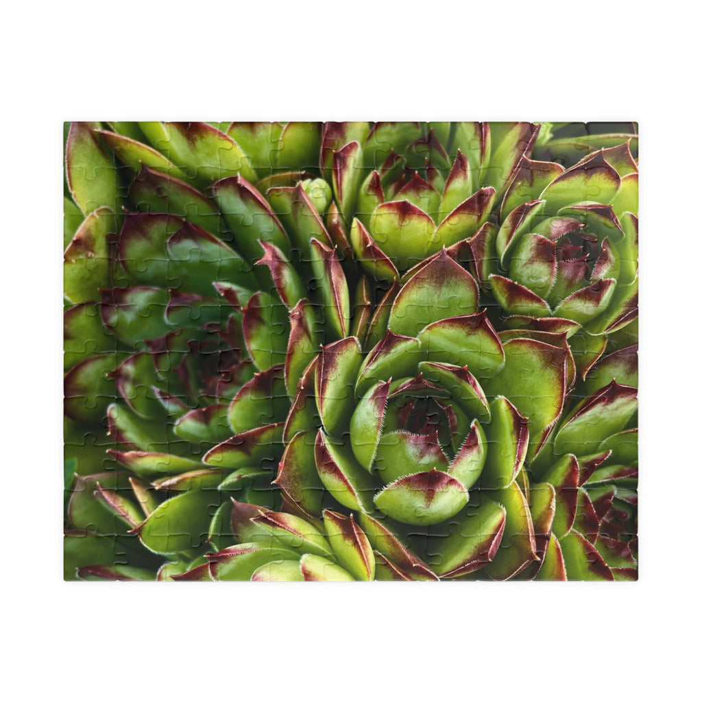 Succulent Garden Jigsaw Puzzle