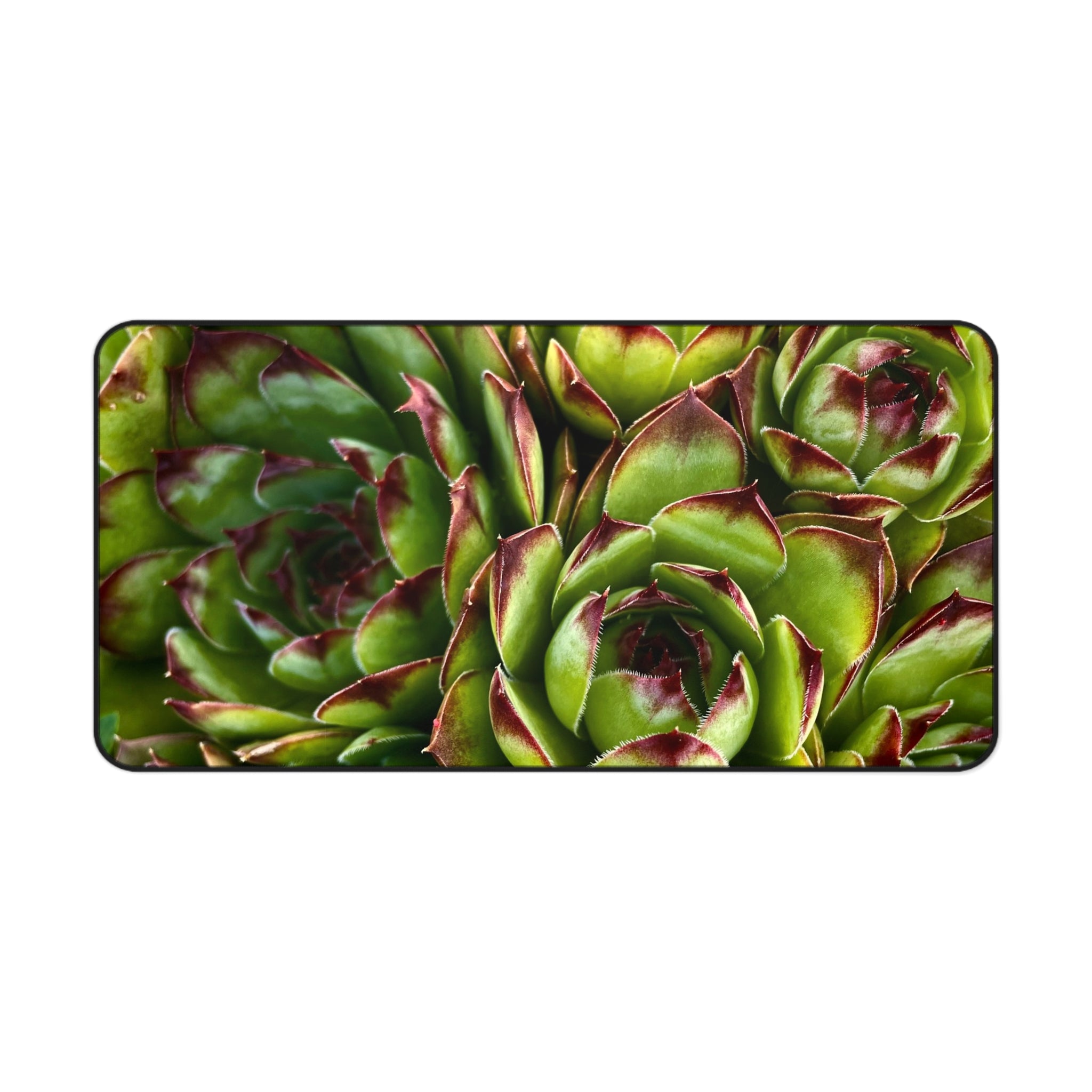 Succulent Garden Desk Mat