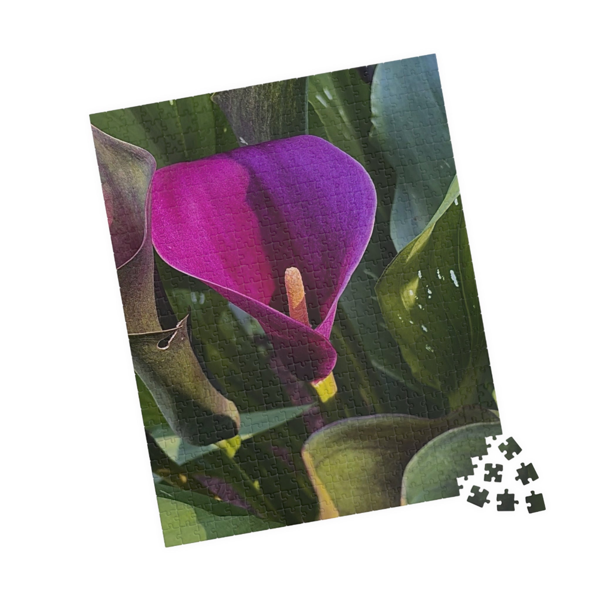 Purple Calla Lily Jigsaw Puzzle
