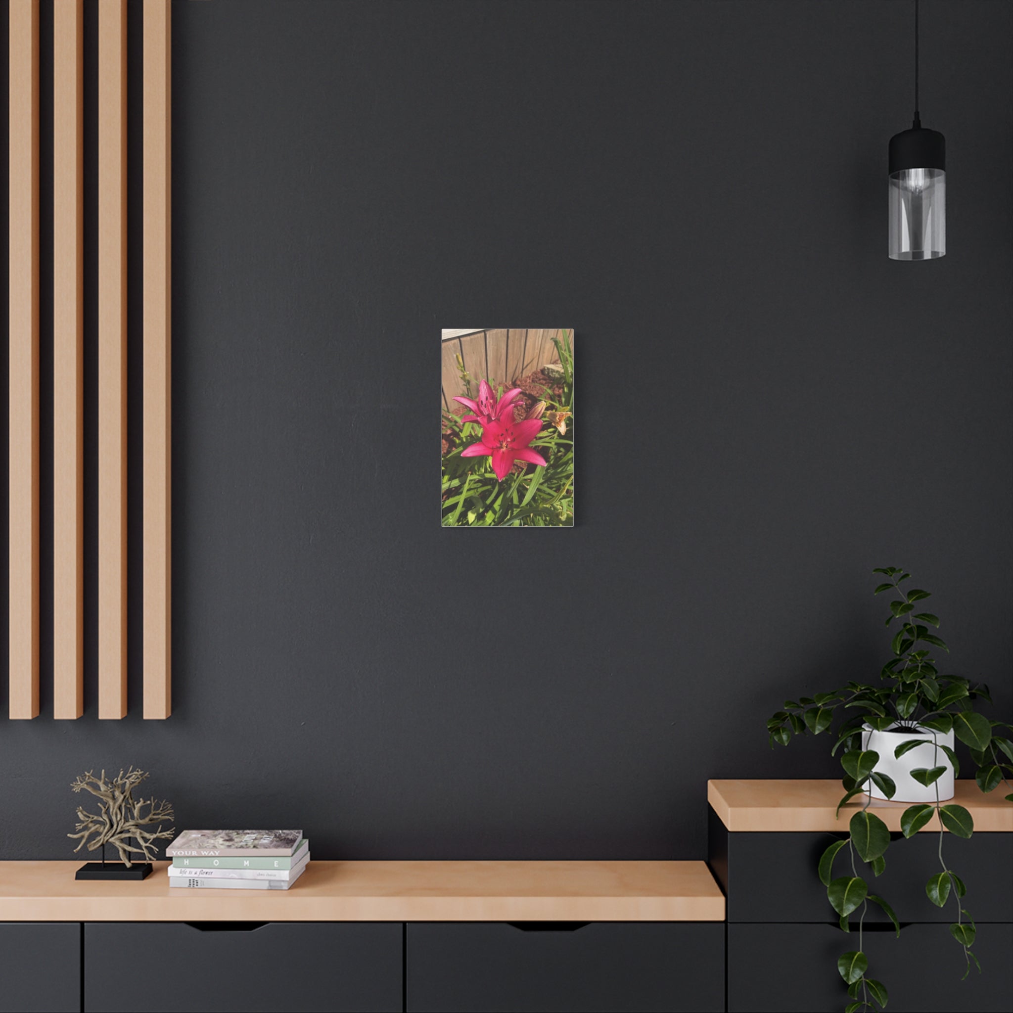 Pink Asiatic Lily Canvas Print
