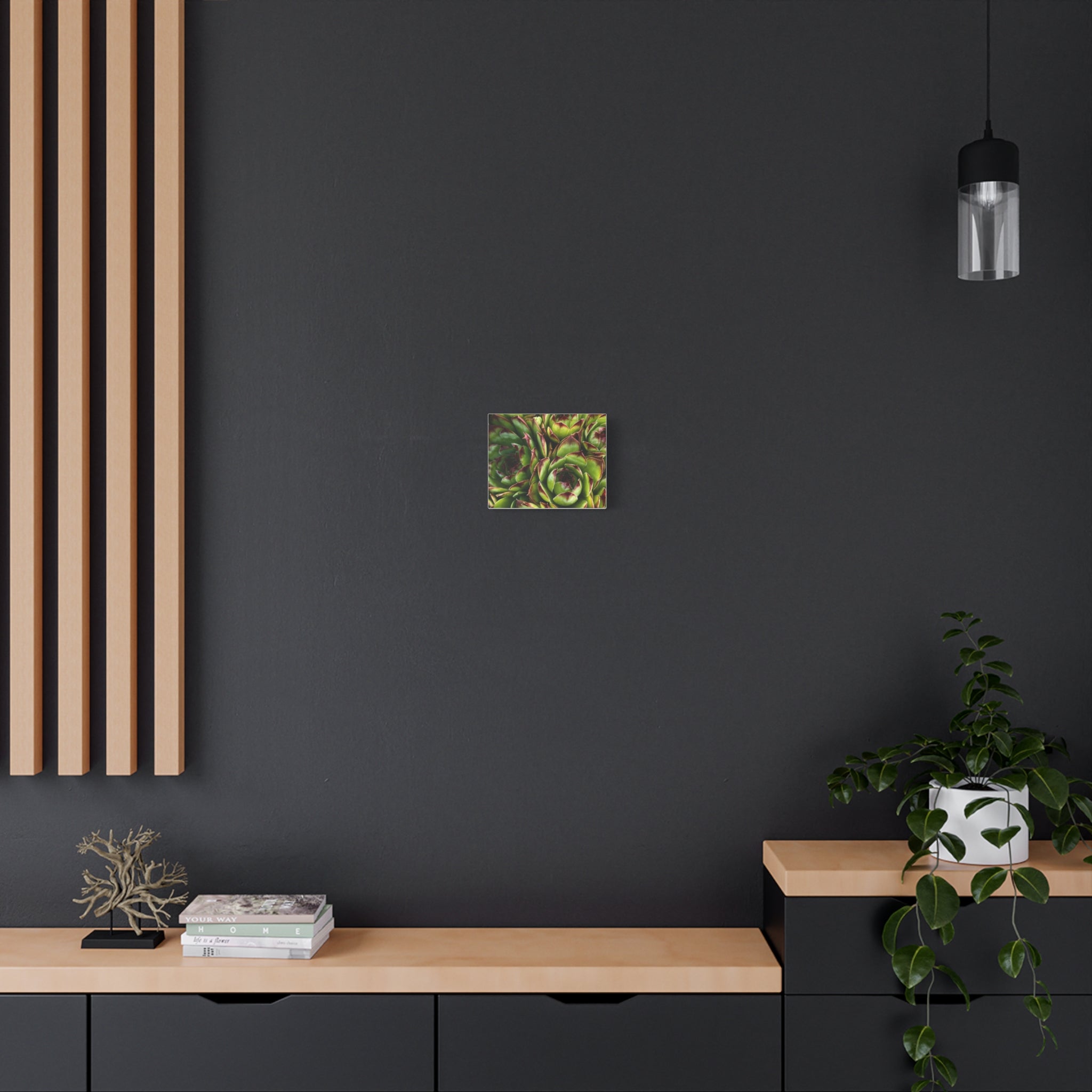 Succulent Garden Canvas Print