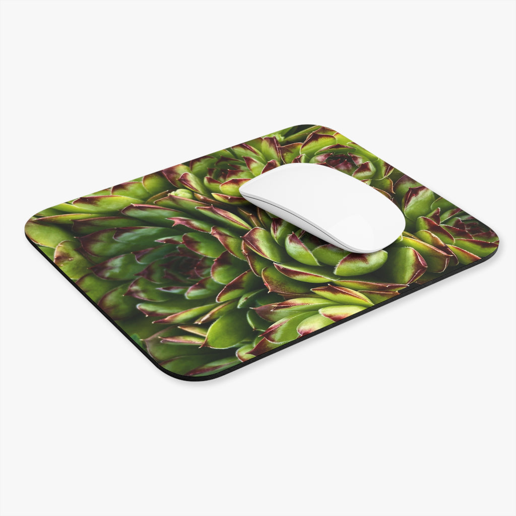 Succulent Garden Mouse Pad