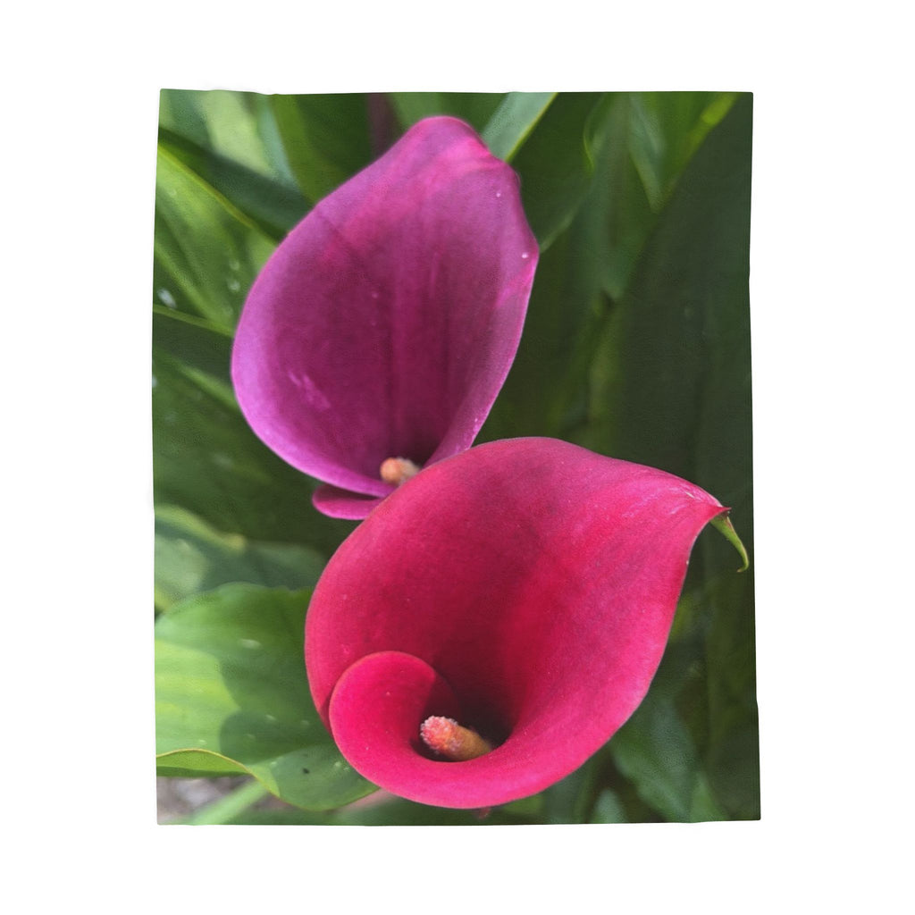 Two Pink Calla Lilies Throw Blanket
