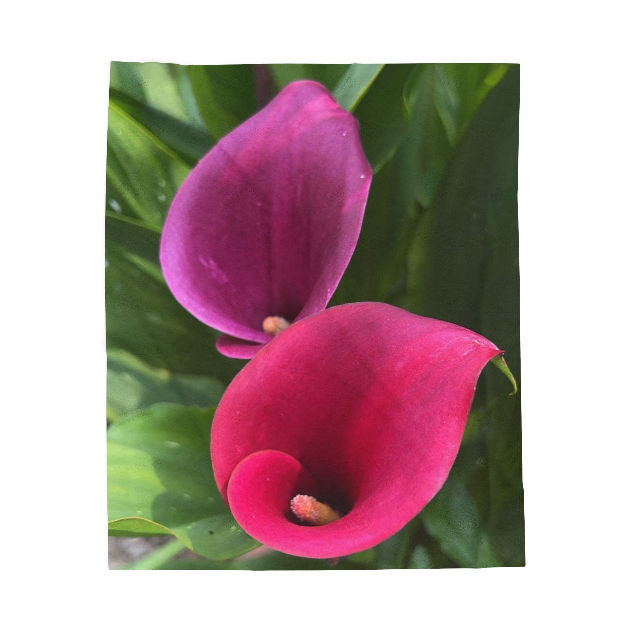 Two Pink Calla Lilies Throw Blanket