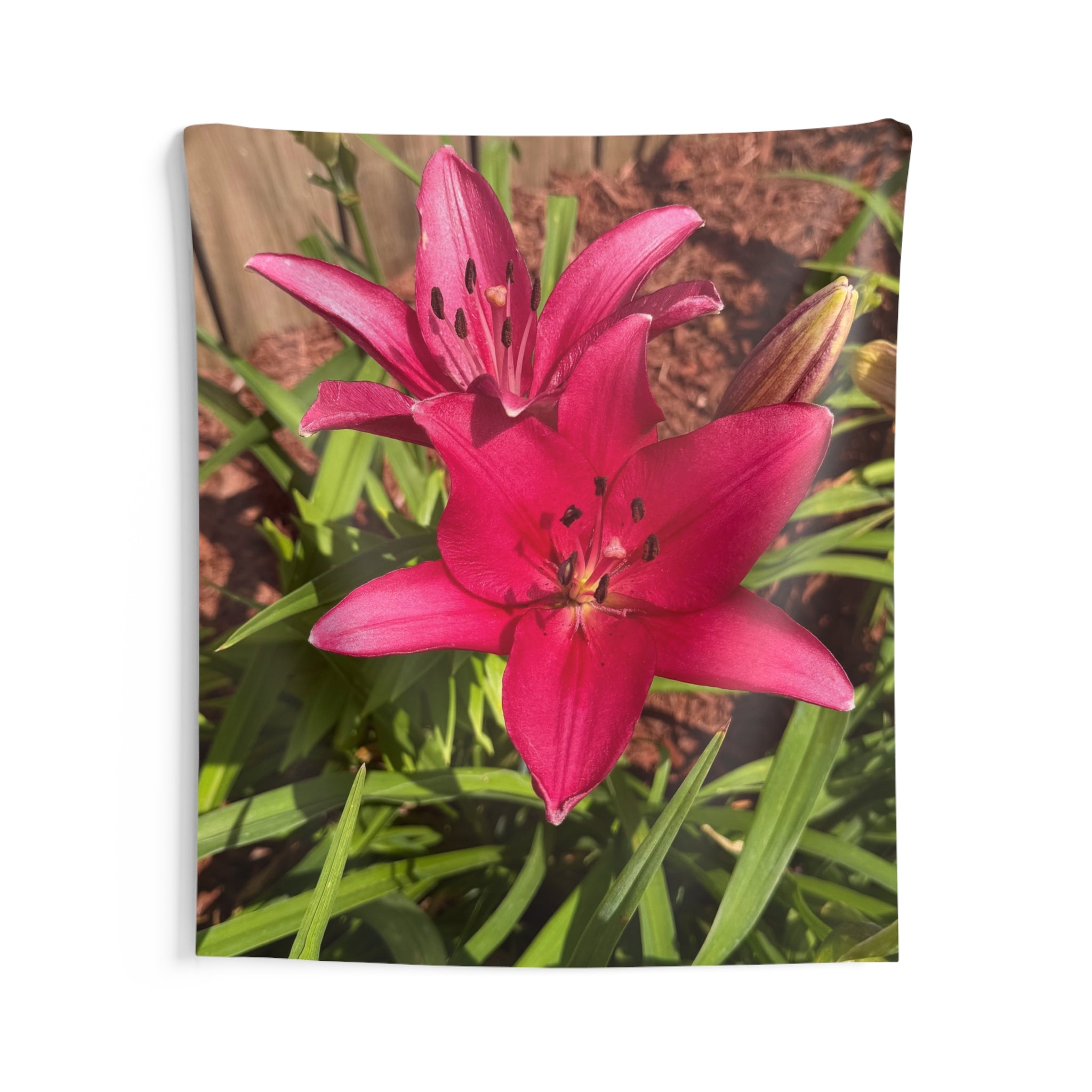 Pink Asiatic Lily Wall Tapestry