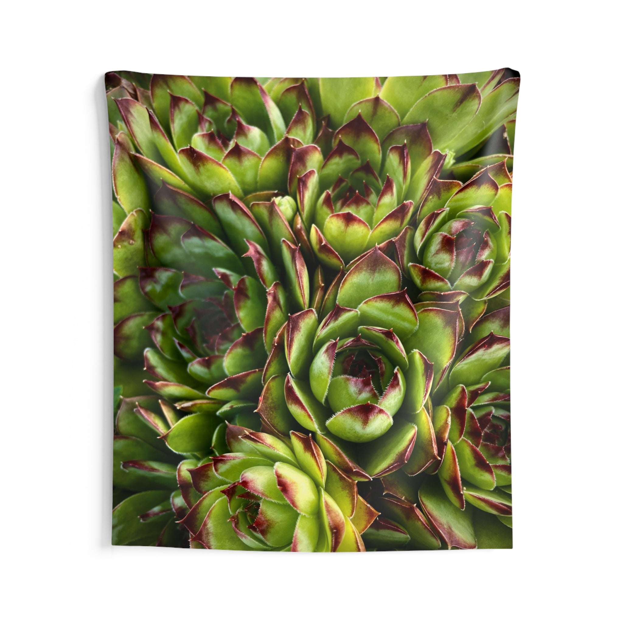 Succulent Garden Tapestry