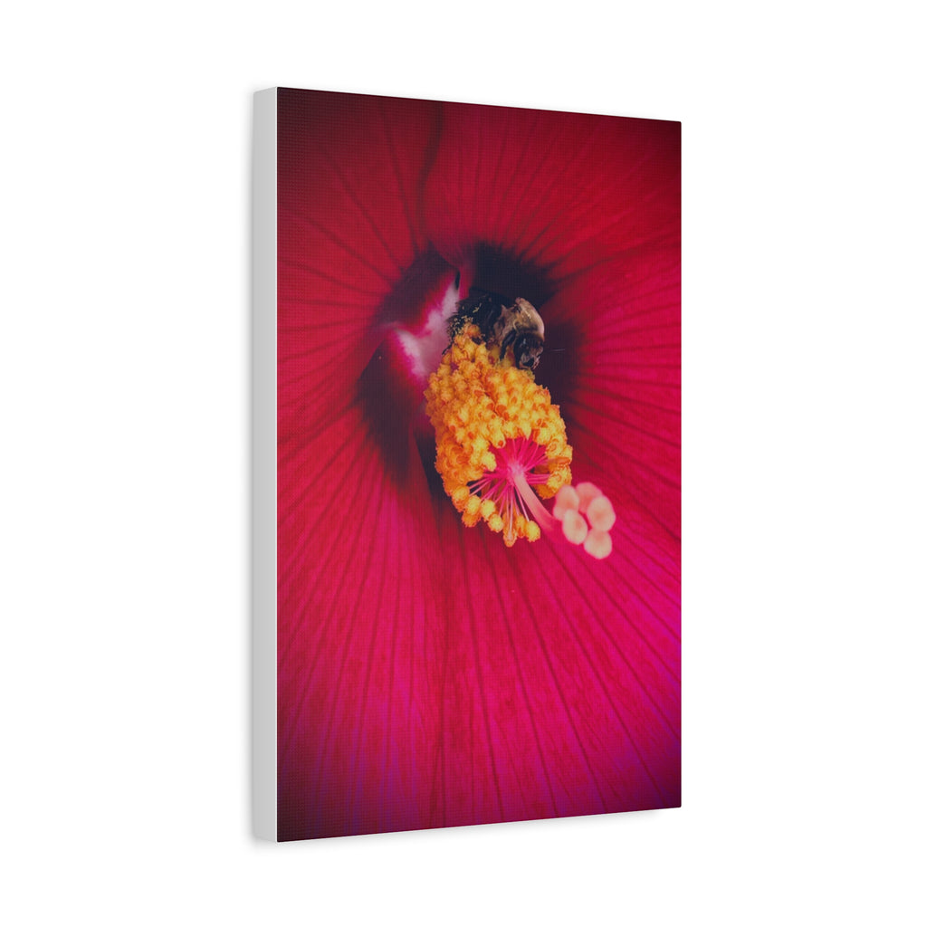 Sleeping Bee Canvas Print
