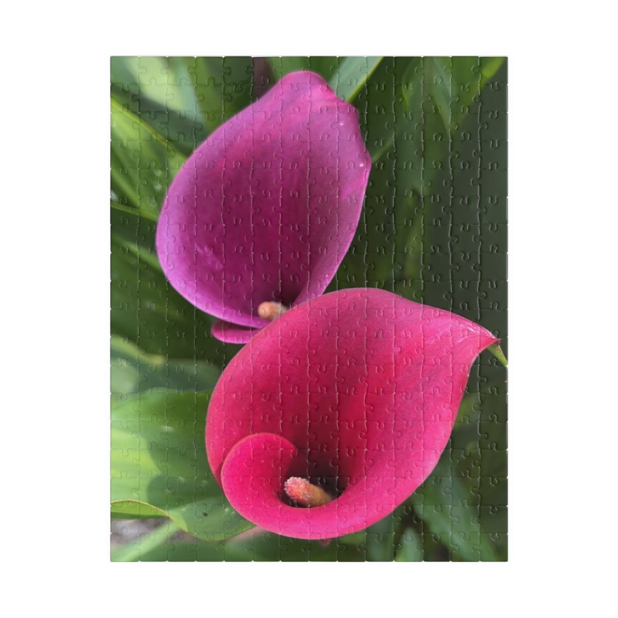 Two Pink Calla Lilies Jigsaw Puzzle