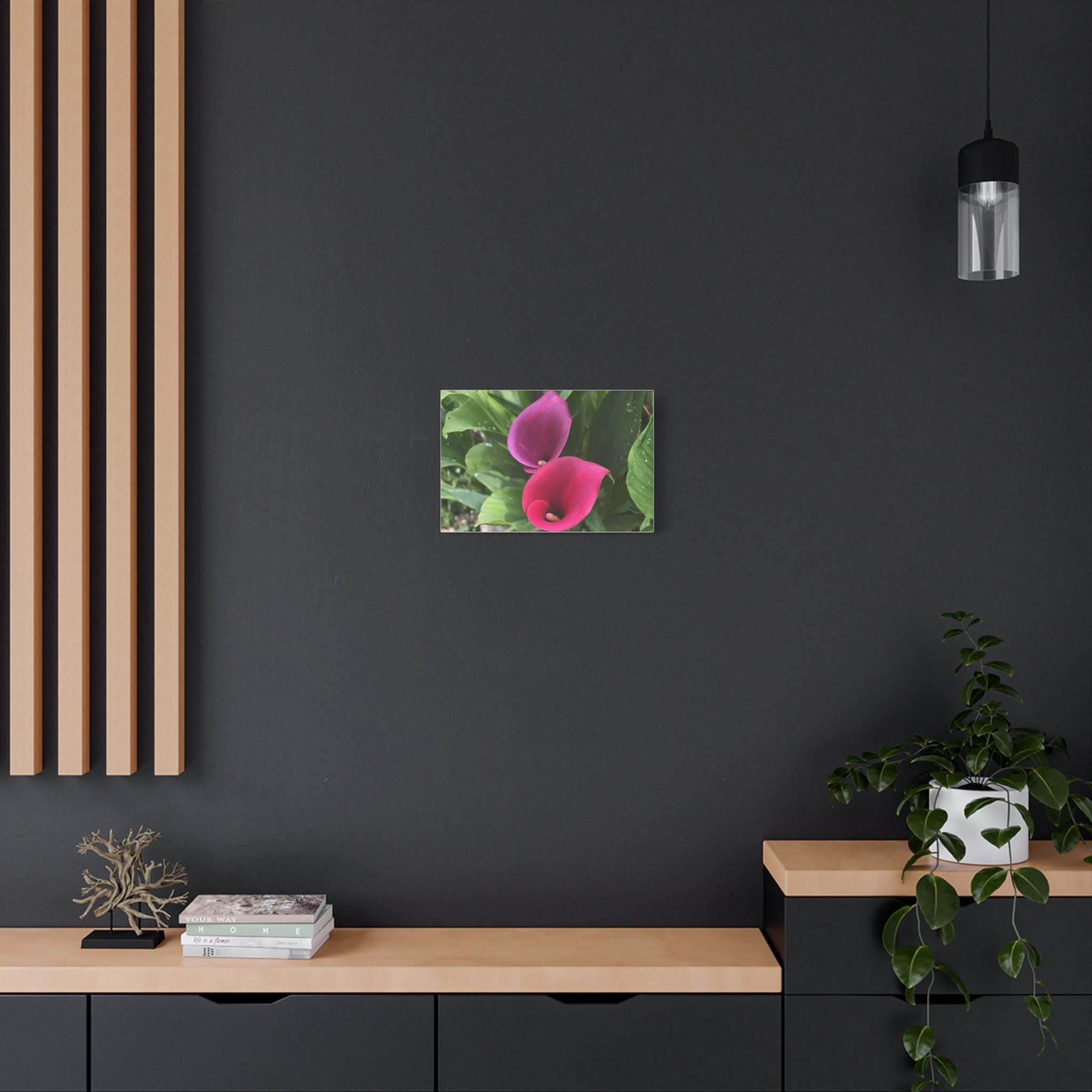 Two Pink Calla Lilies Canvas Print
