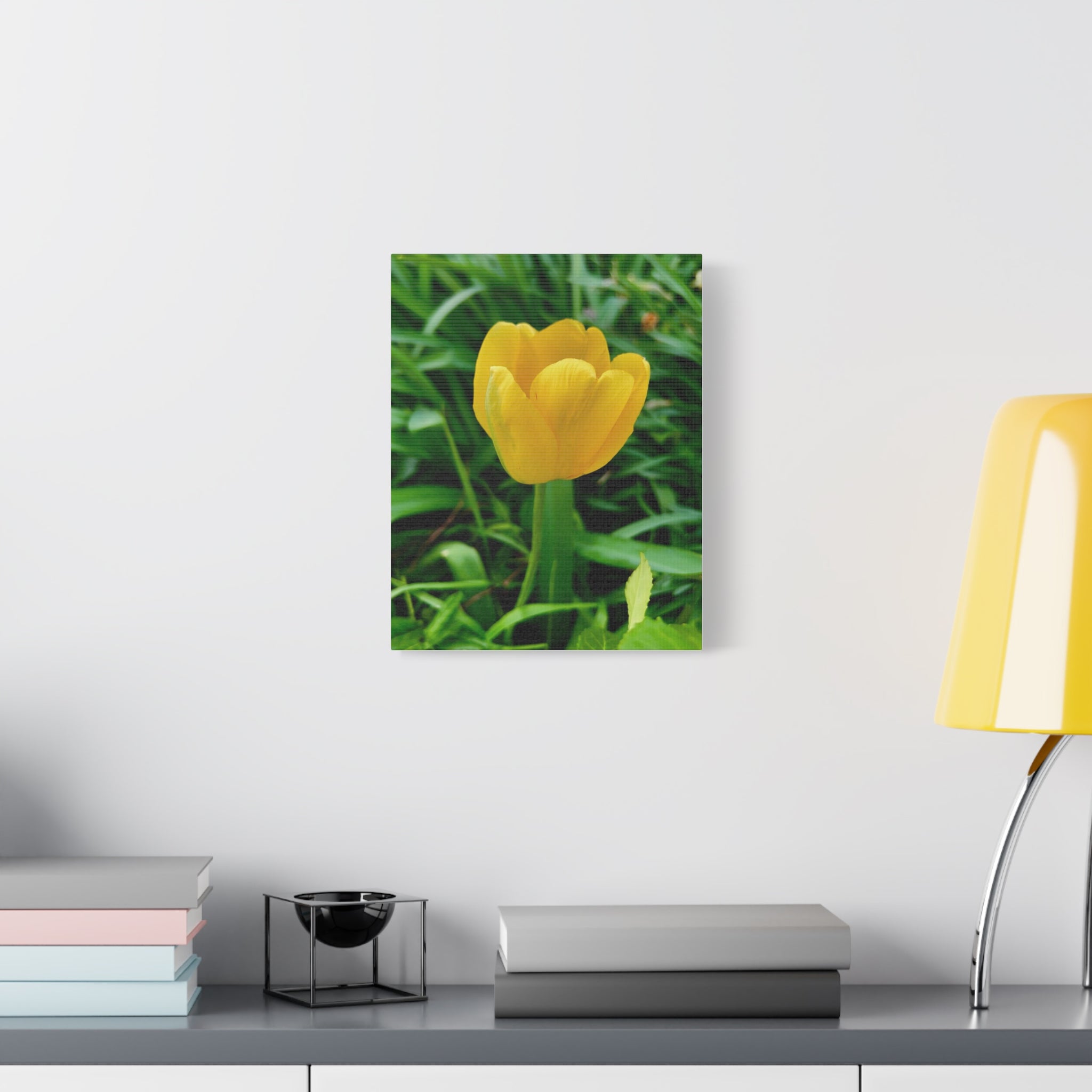 Yellow Tulip Canvas Print