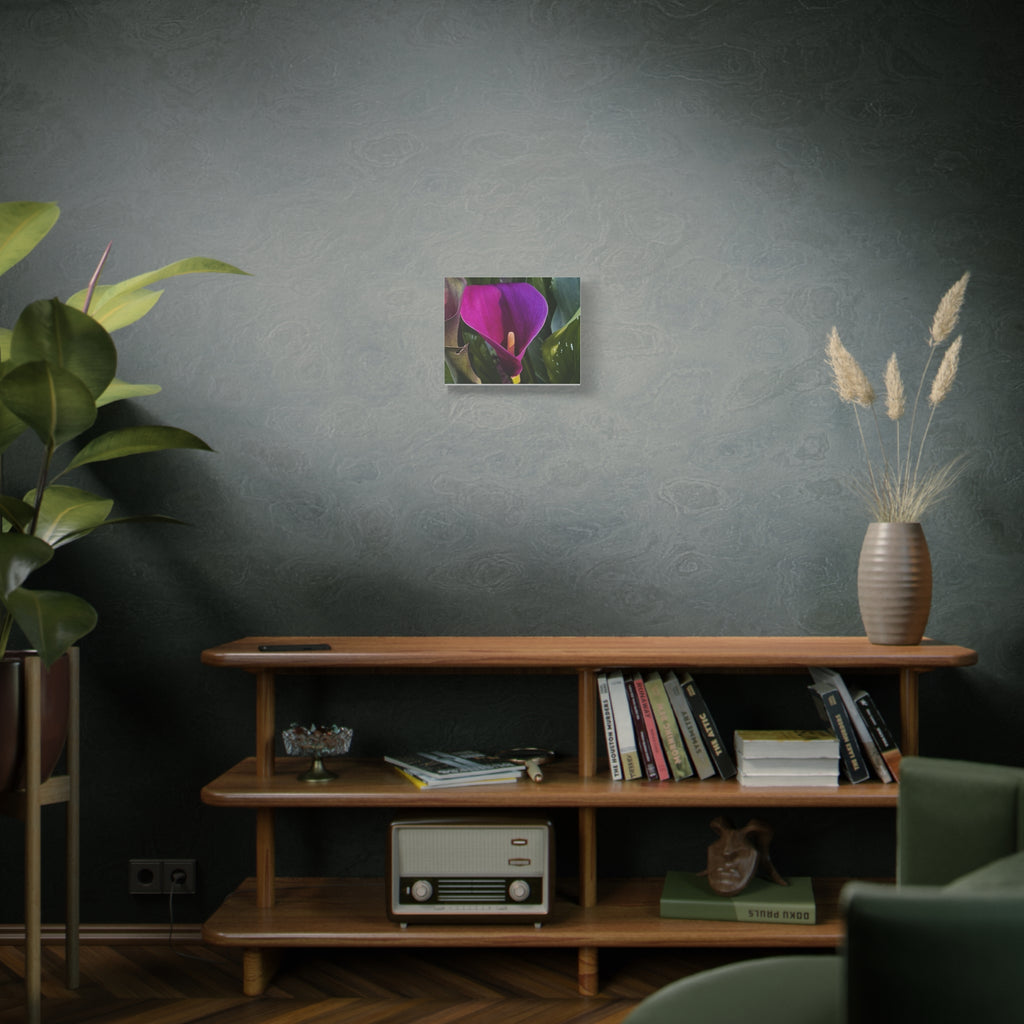 Purple Calla Lily Canvas Print