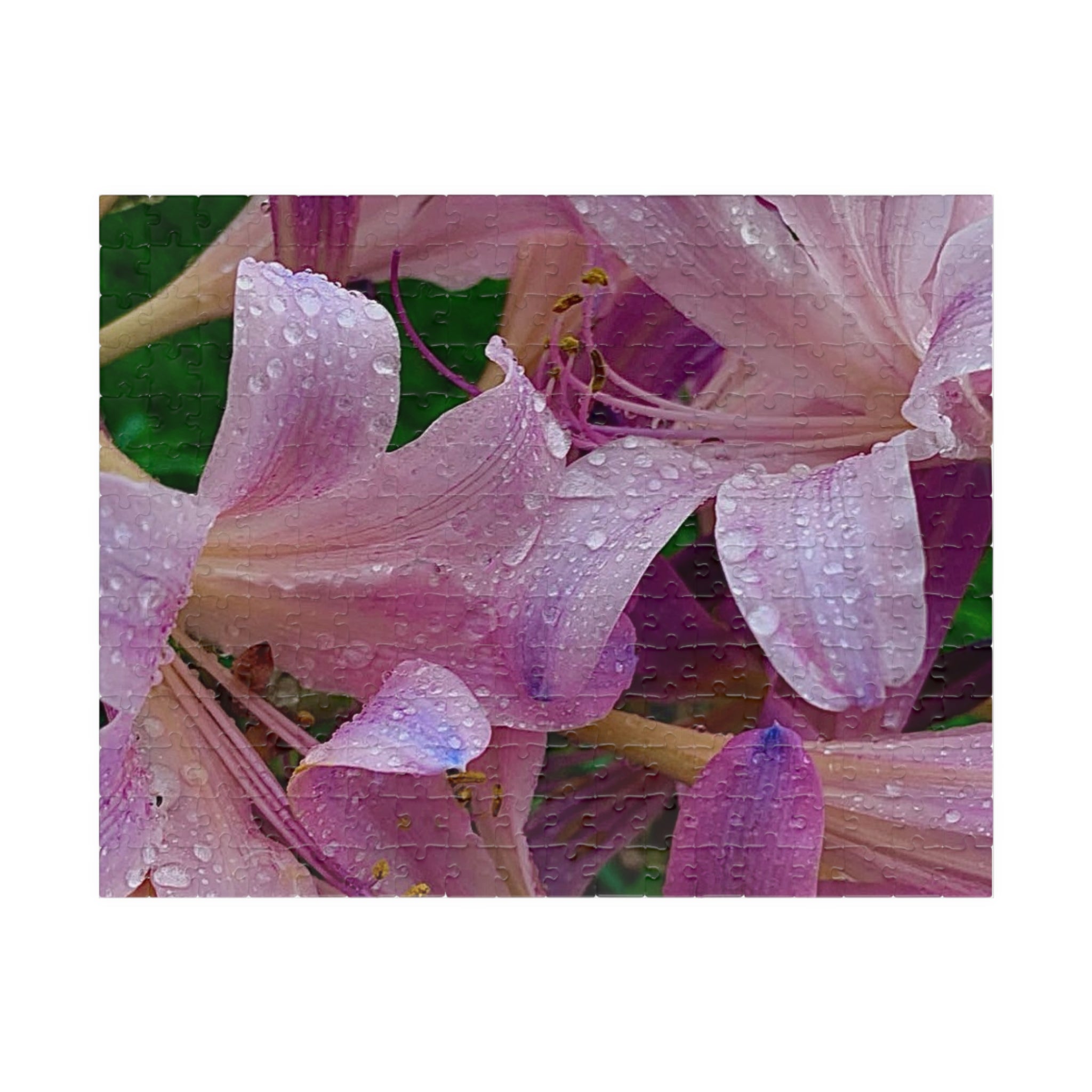 Rainy Pink Lilies Jigsaw Puzzle