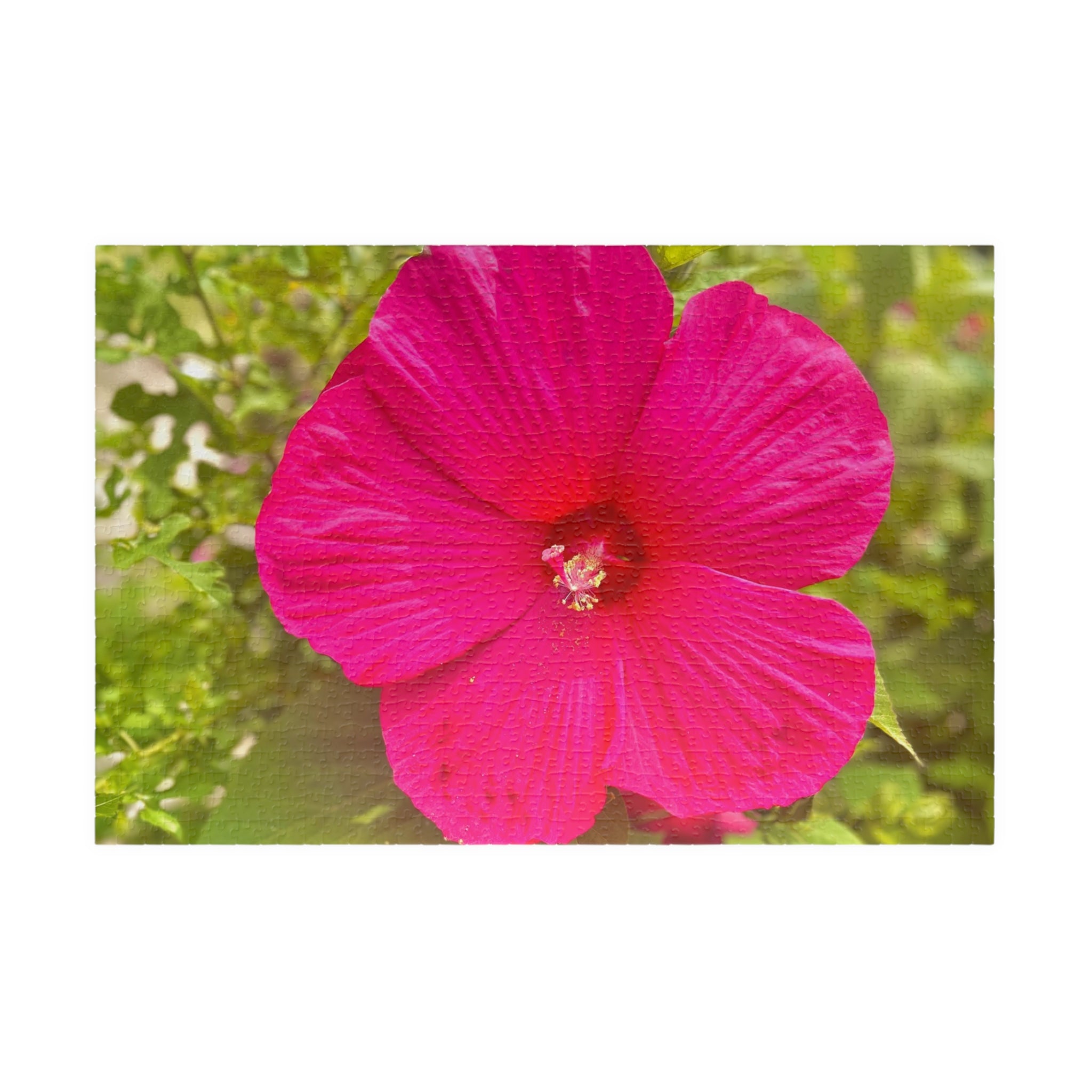 Hot Pink Hibiscus Jigsaw Puzzle
