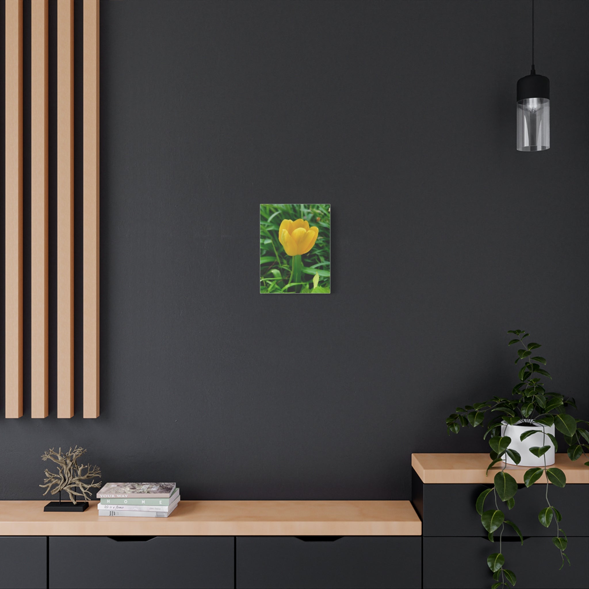 Yellow Tulip Canvas Print