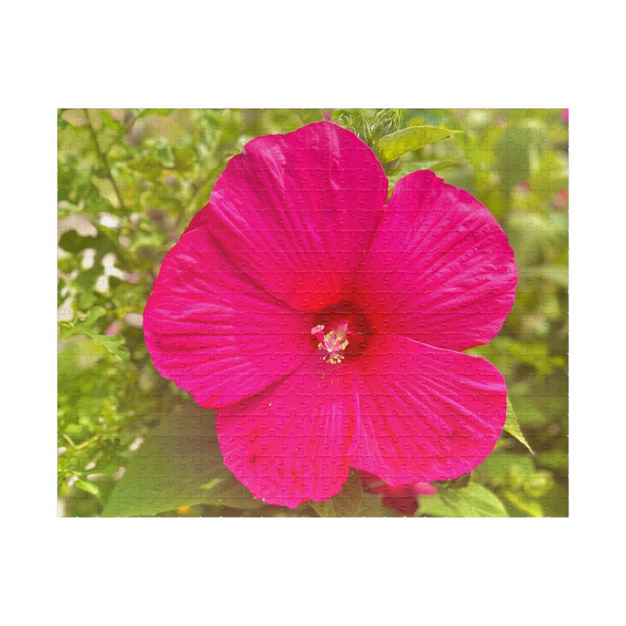 Hot Pink Hibiscus Jigsaw Puzzle