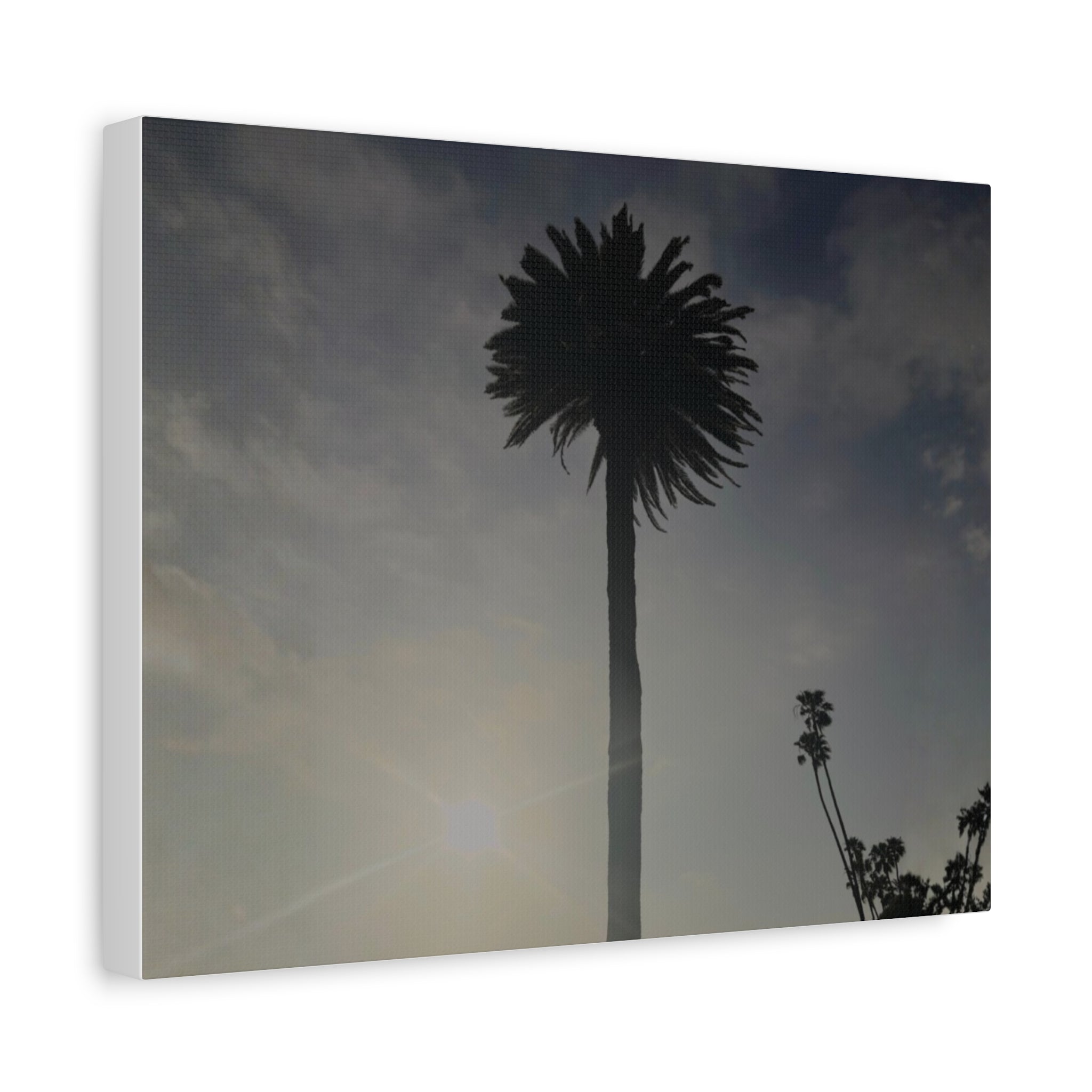 Palm Tree Canvas Print