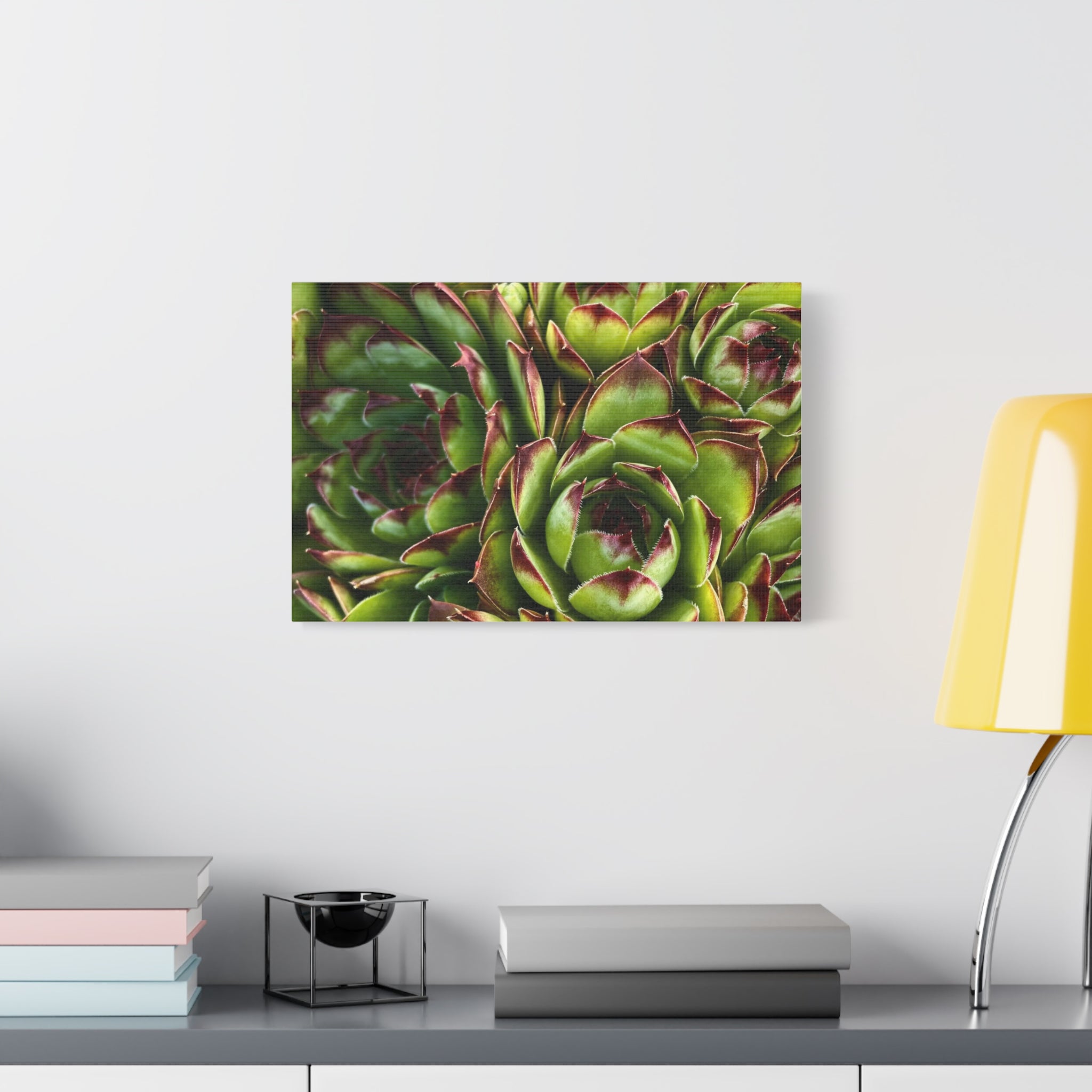 Succulent Garden Canvas Print