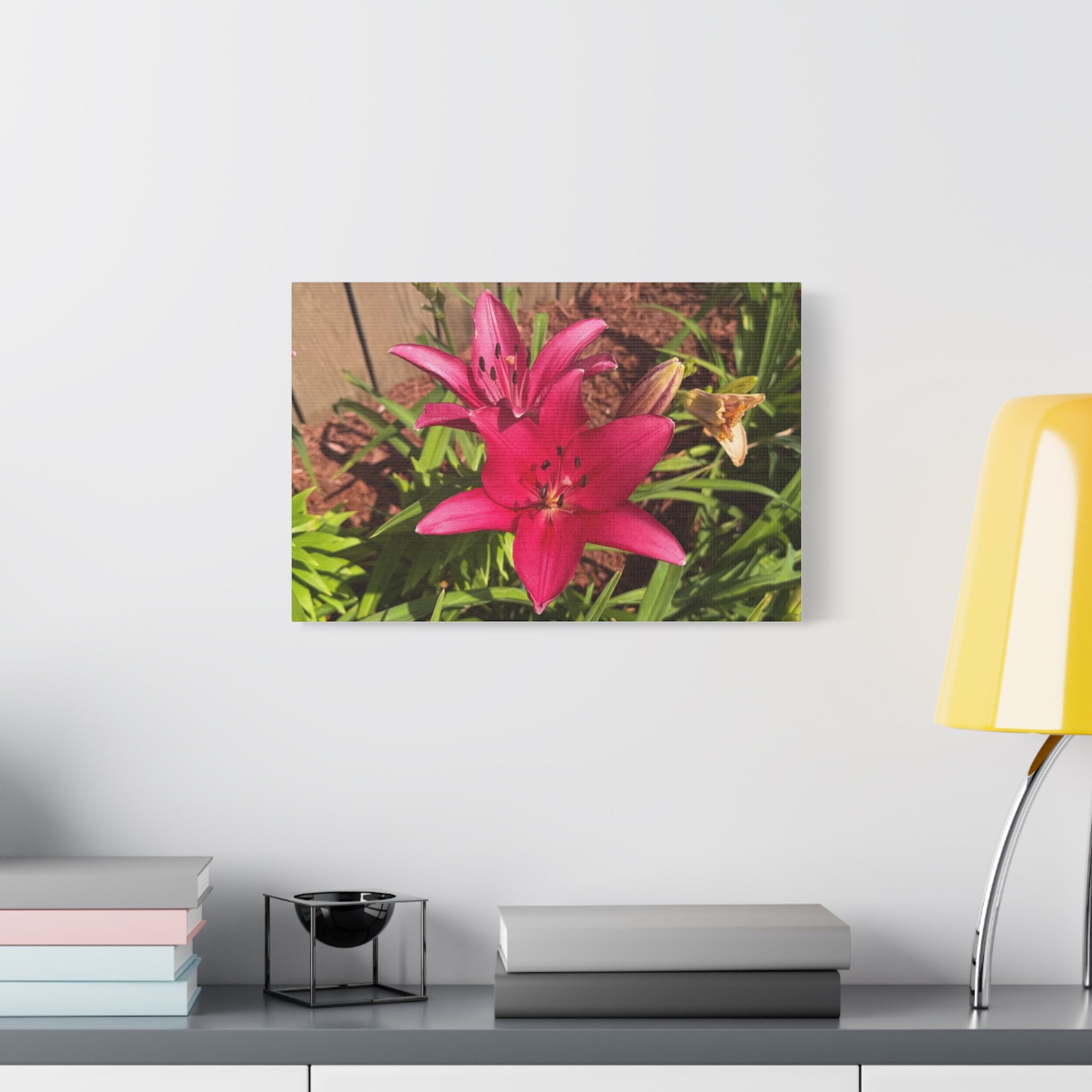 Pink Asiatic Lily Canvas Print