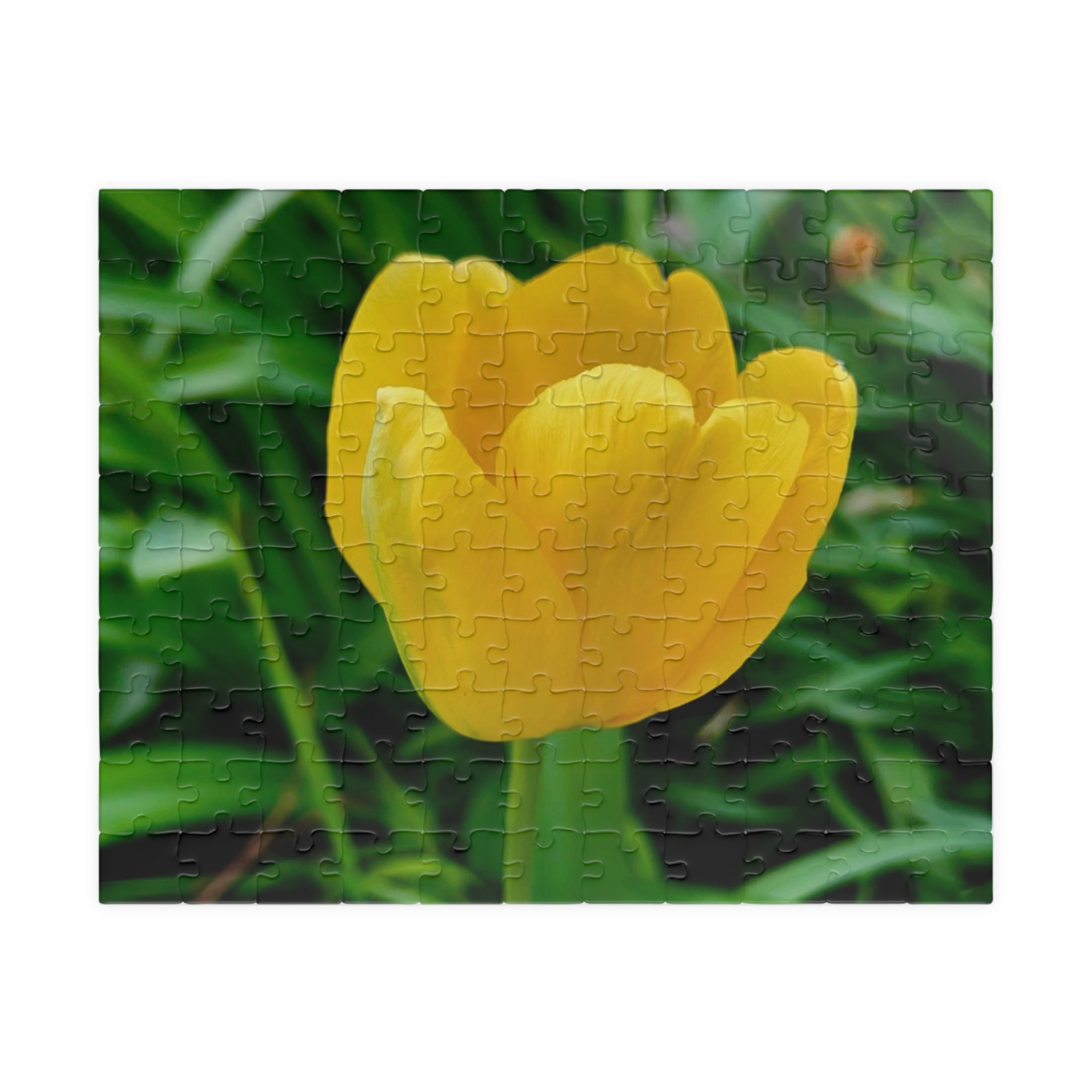 Yellow Tulip Jigsaw Puzzle