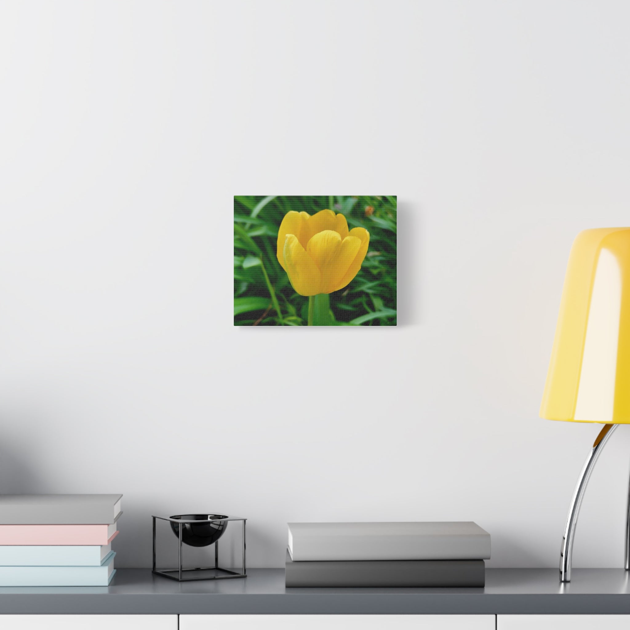 Yellow Tulip Canvas Print