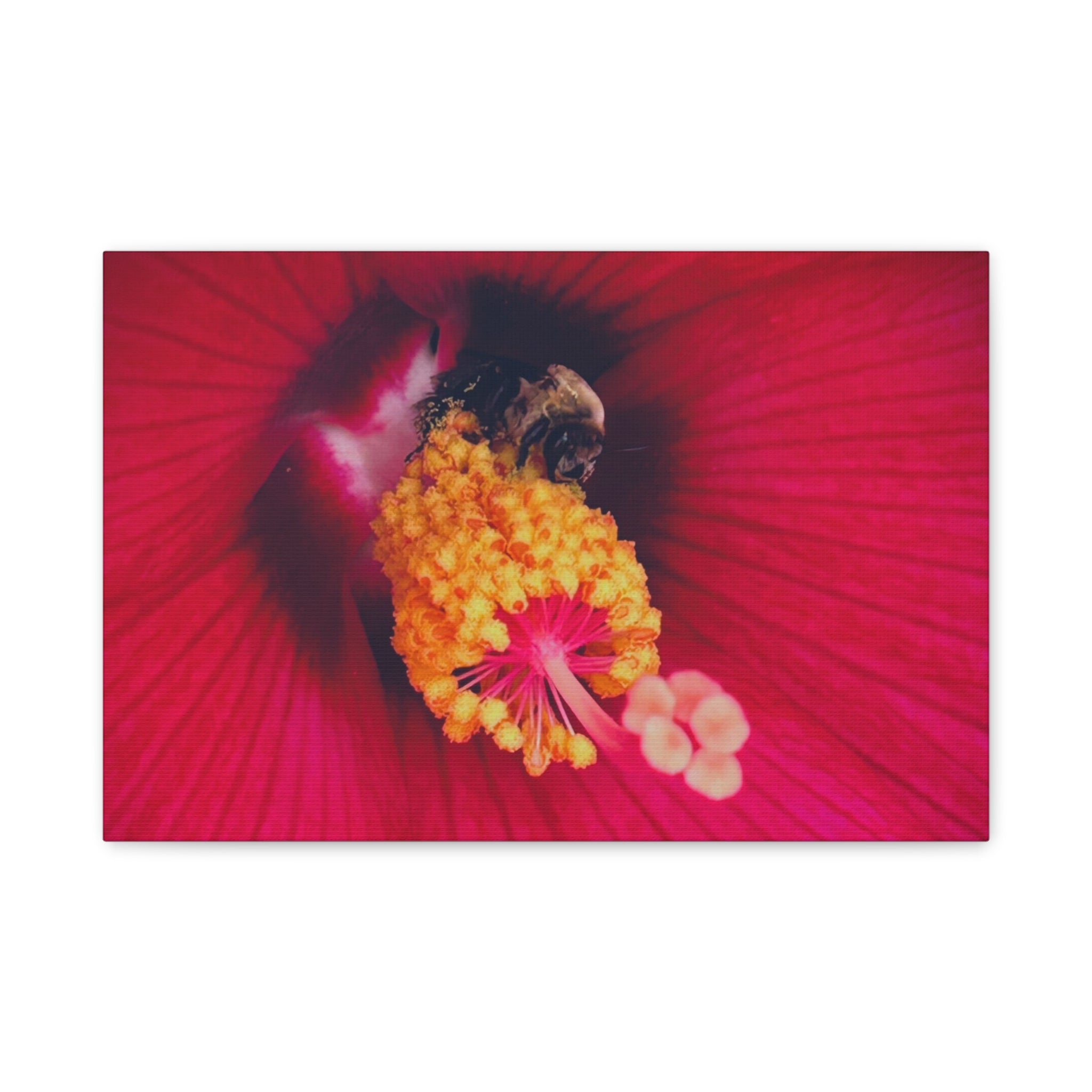 Sleeping Bee Canvas Print