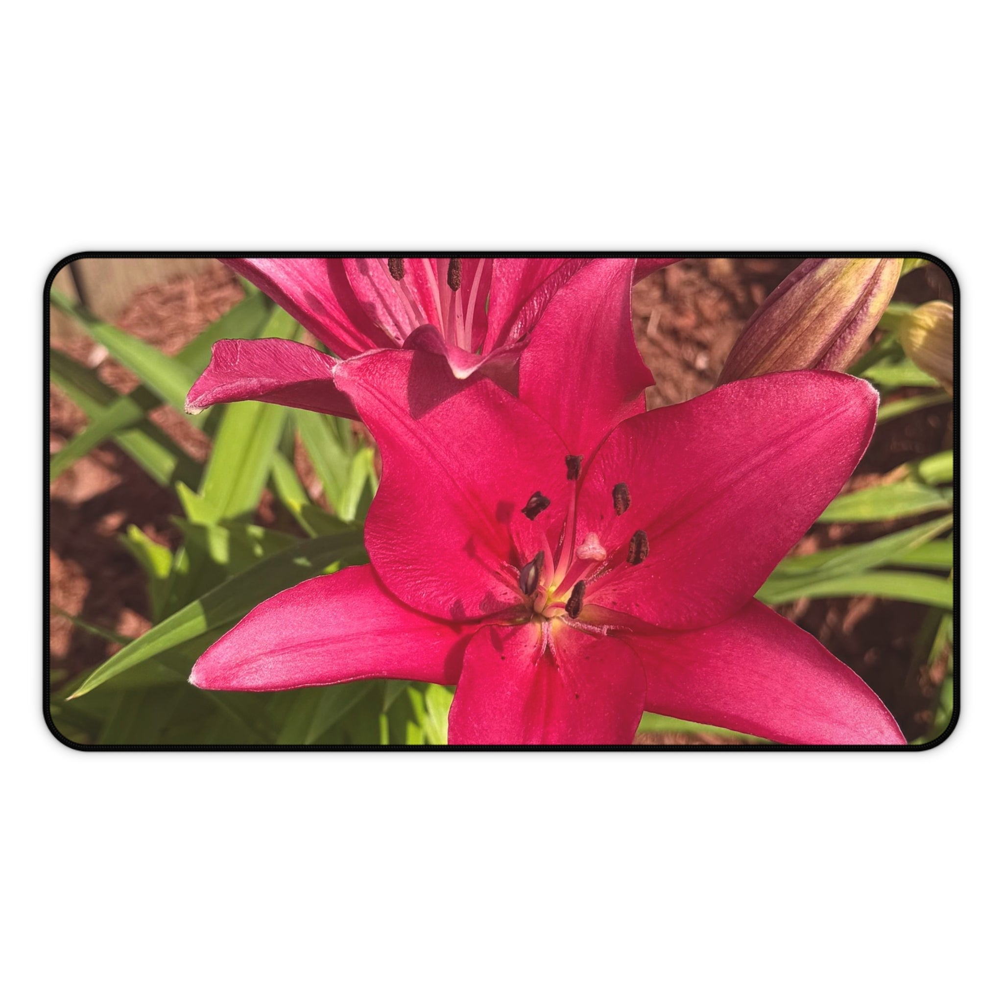 Pink Asiatic Lily Desk Mat